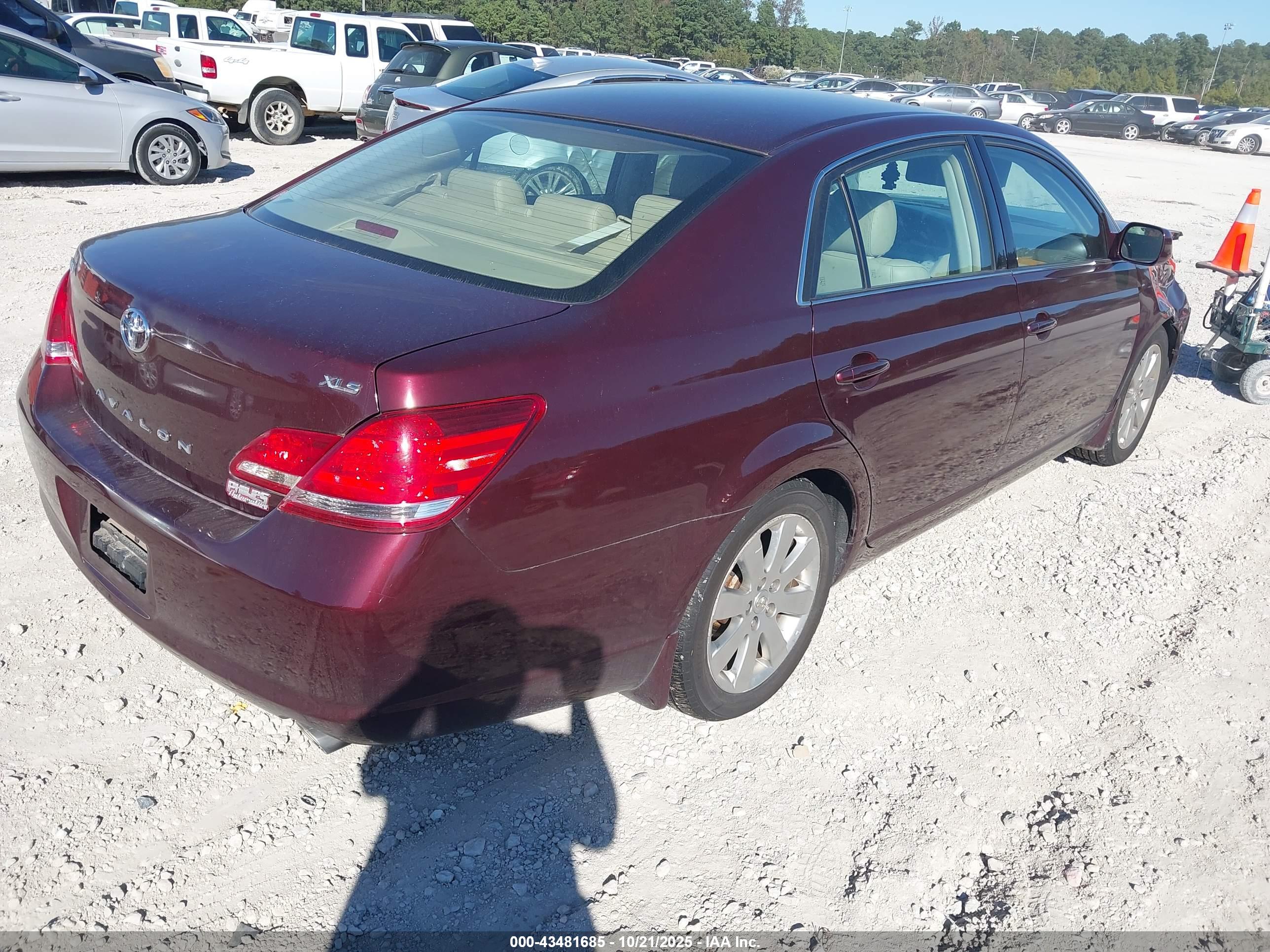 TOYOTA AVALON image 4