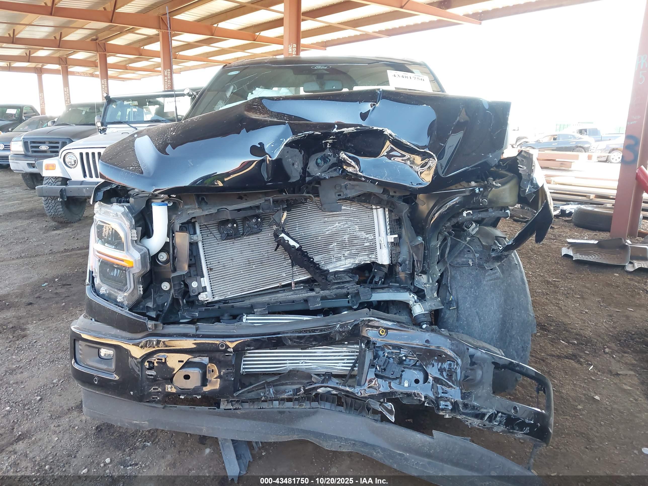 FORD F-150 image 6