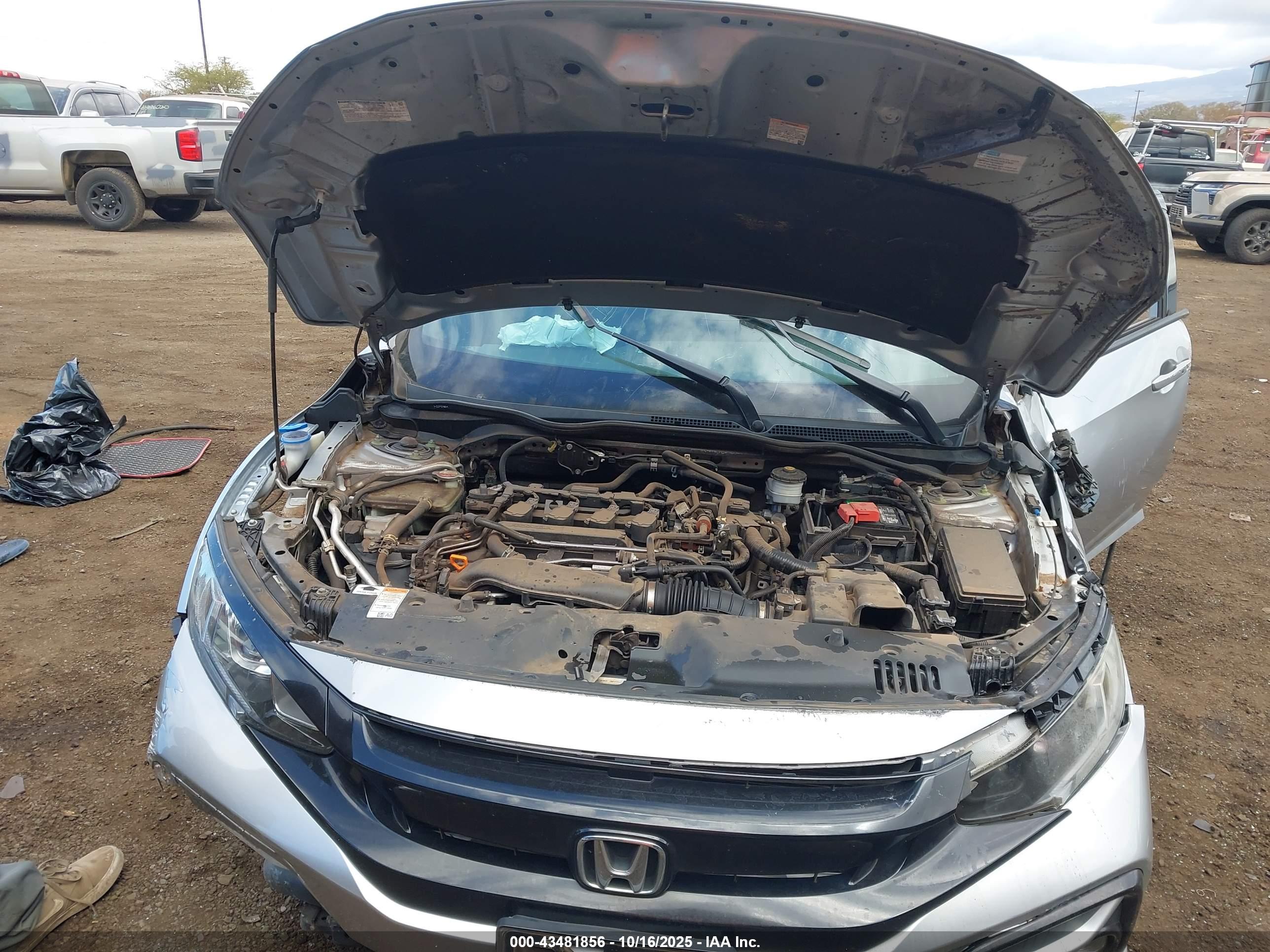 HONDA CIVIC image 10