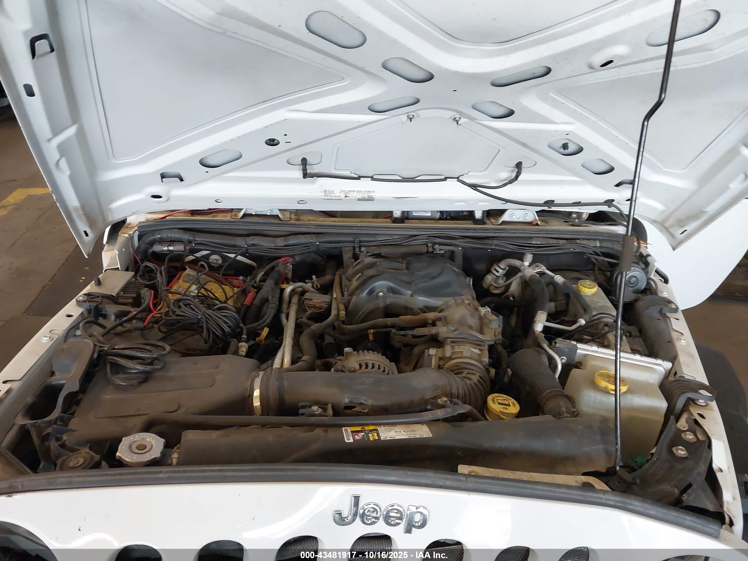 JEEP WRANGLER image 10