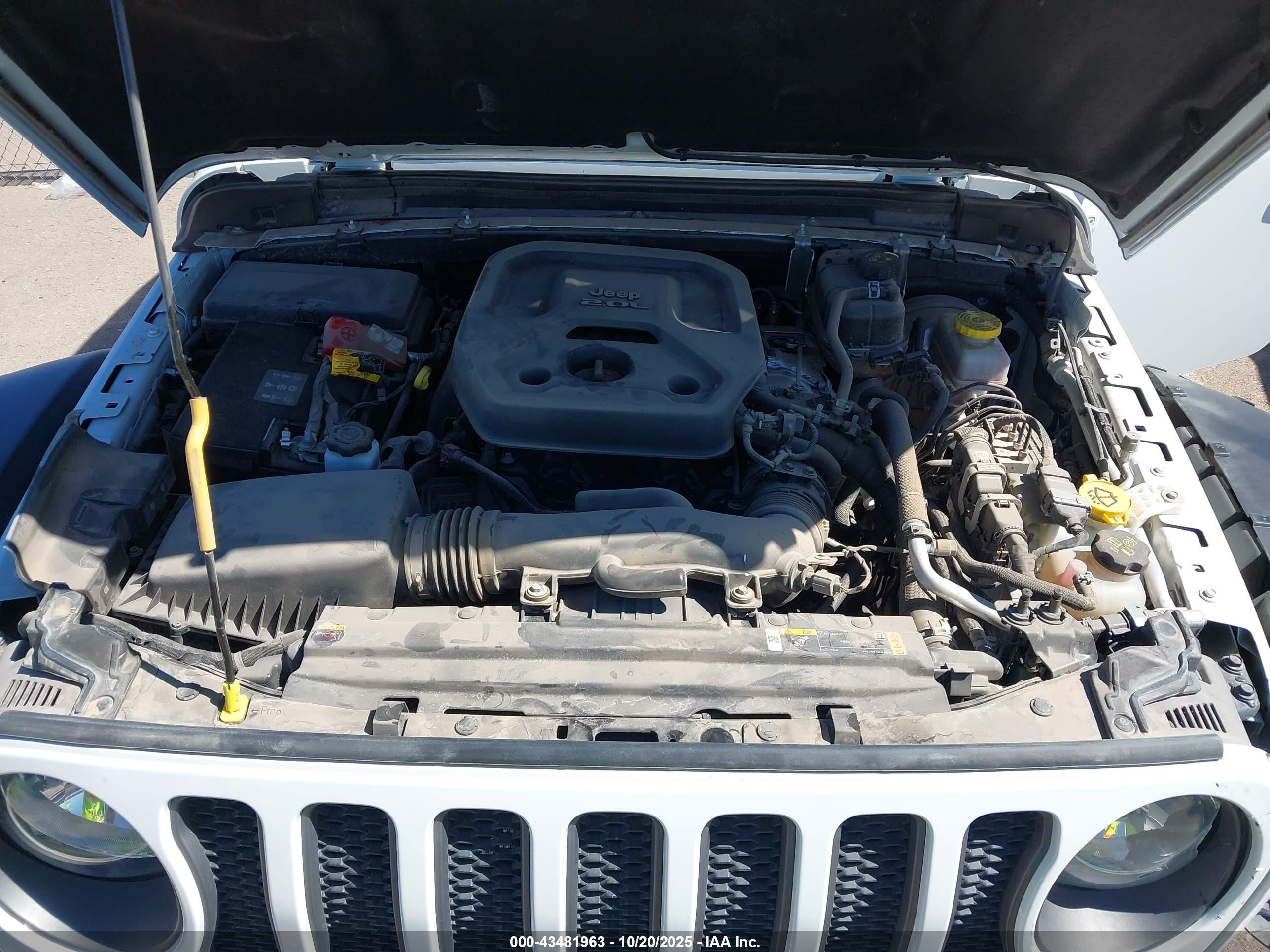 JEEP WRANGLER image 10