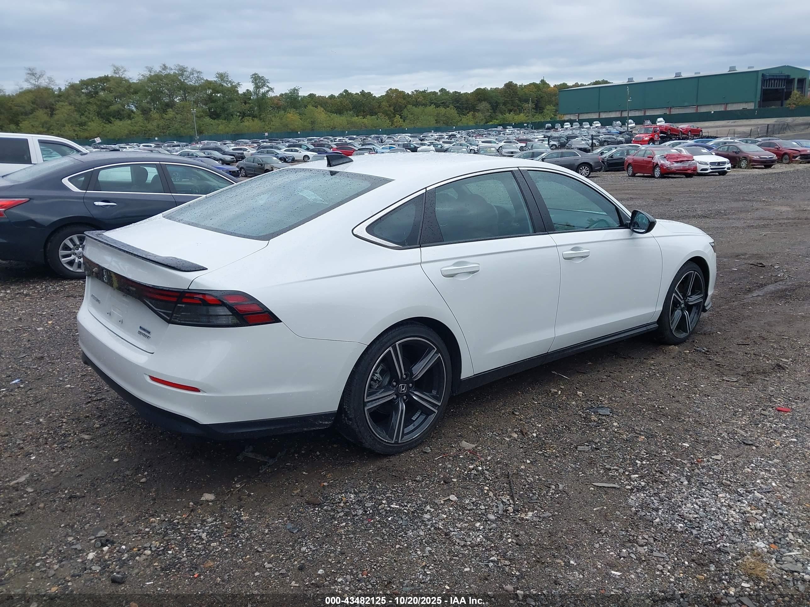 HONDA ACCORD image 4