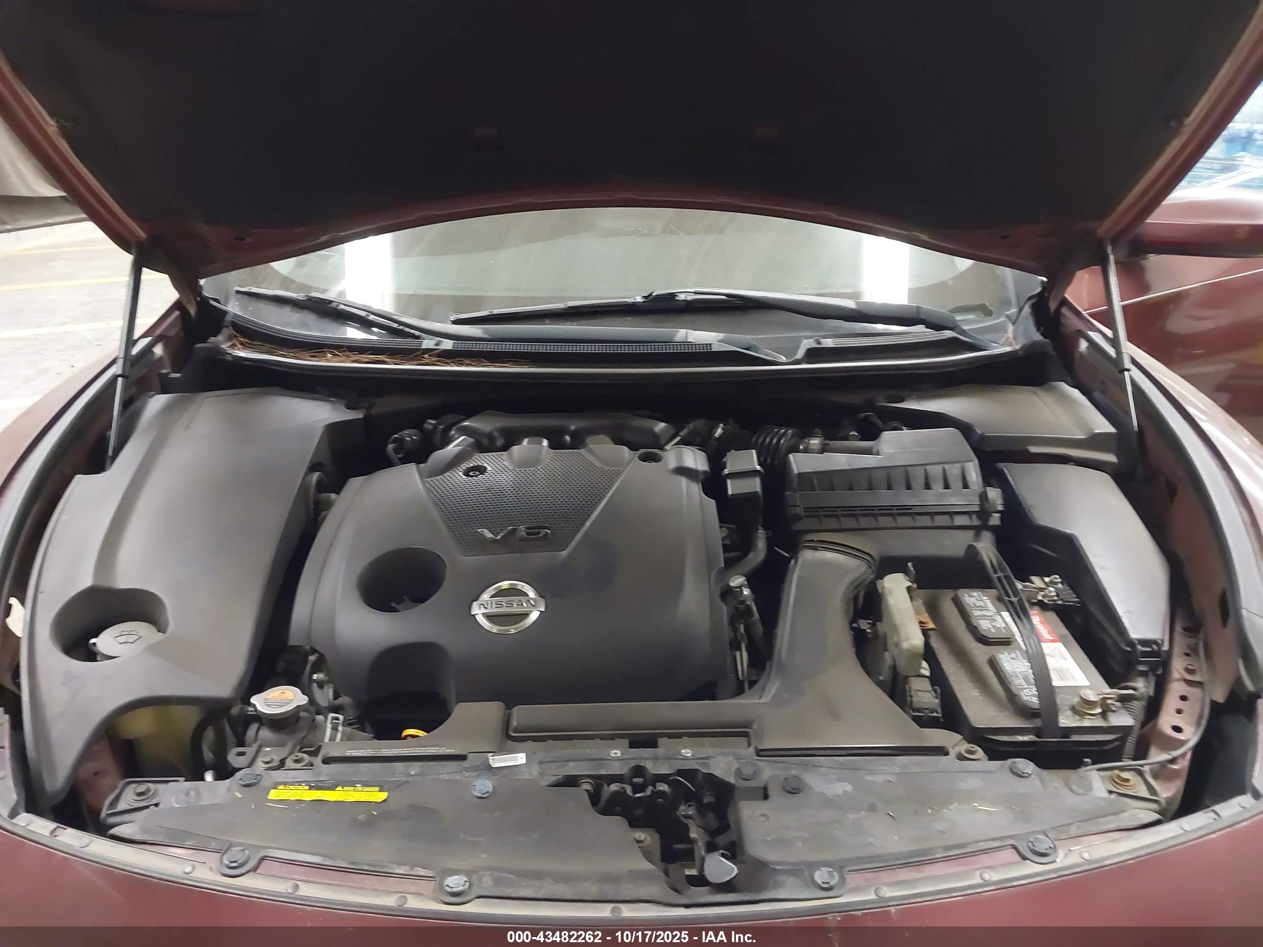 NISSAN MAXIMA image 10