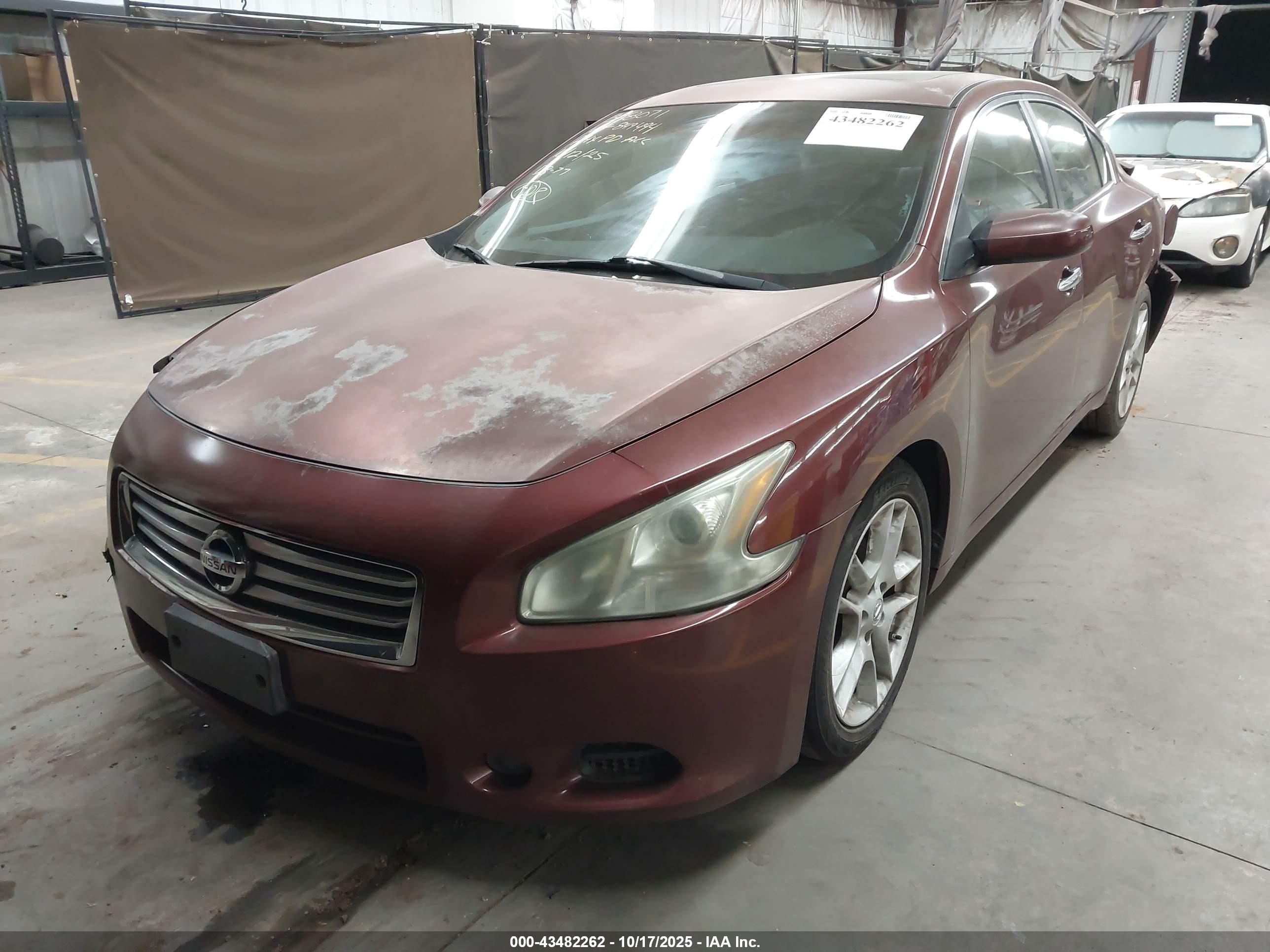 NISSAN MAXIMA image 2