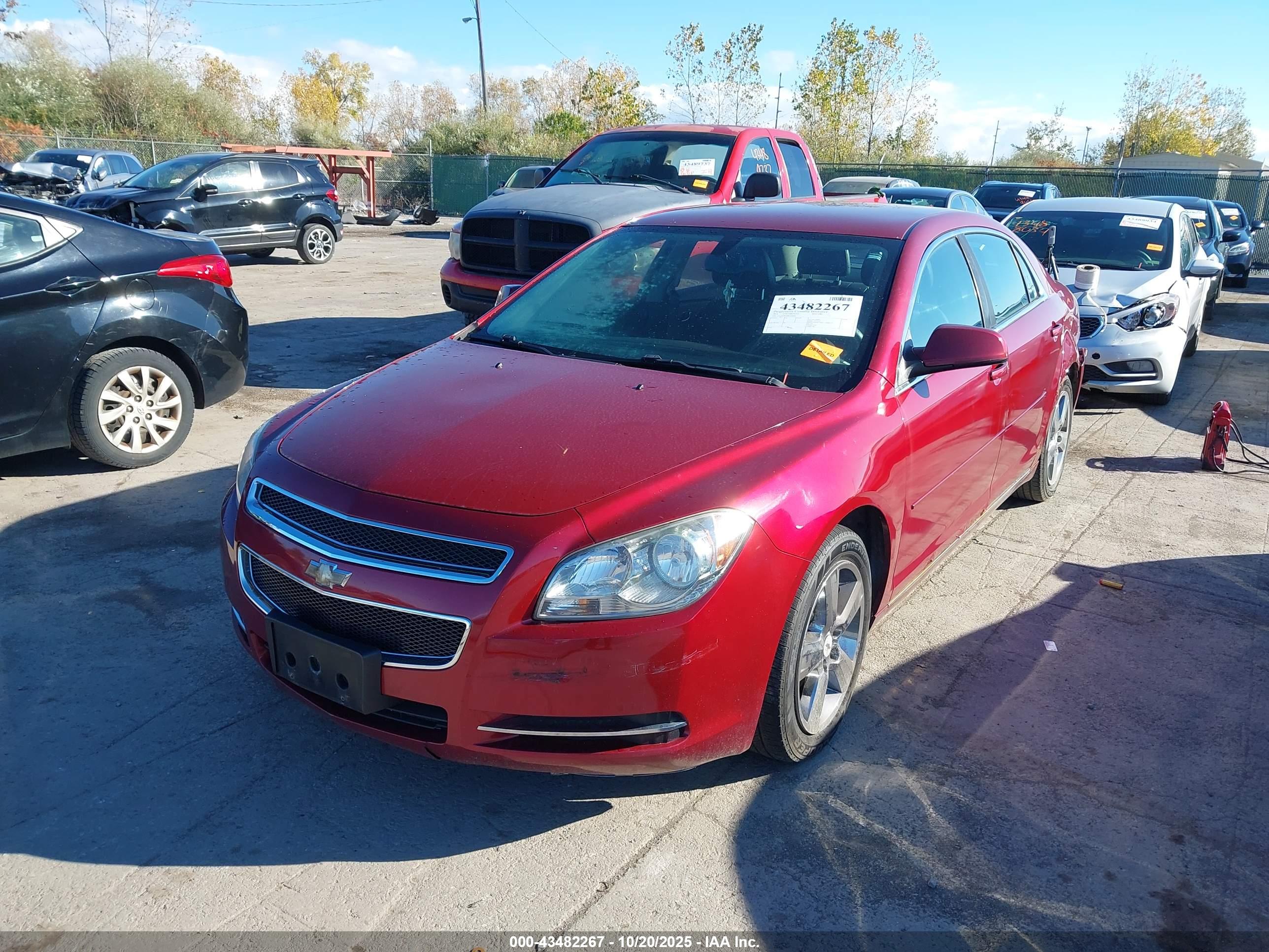 CHEVROLET MALIBU image 2