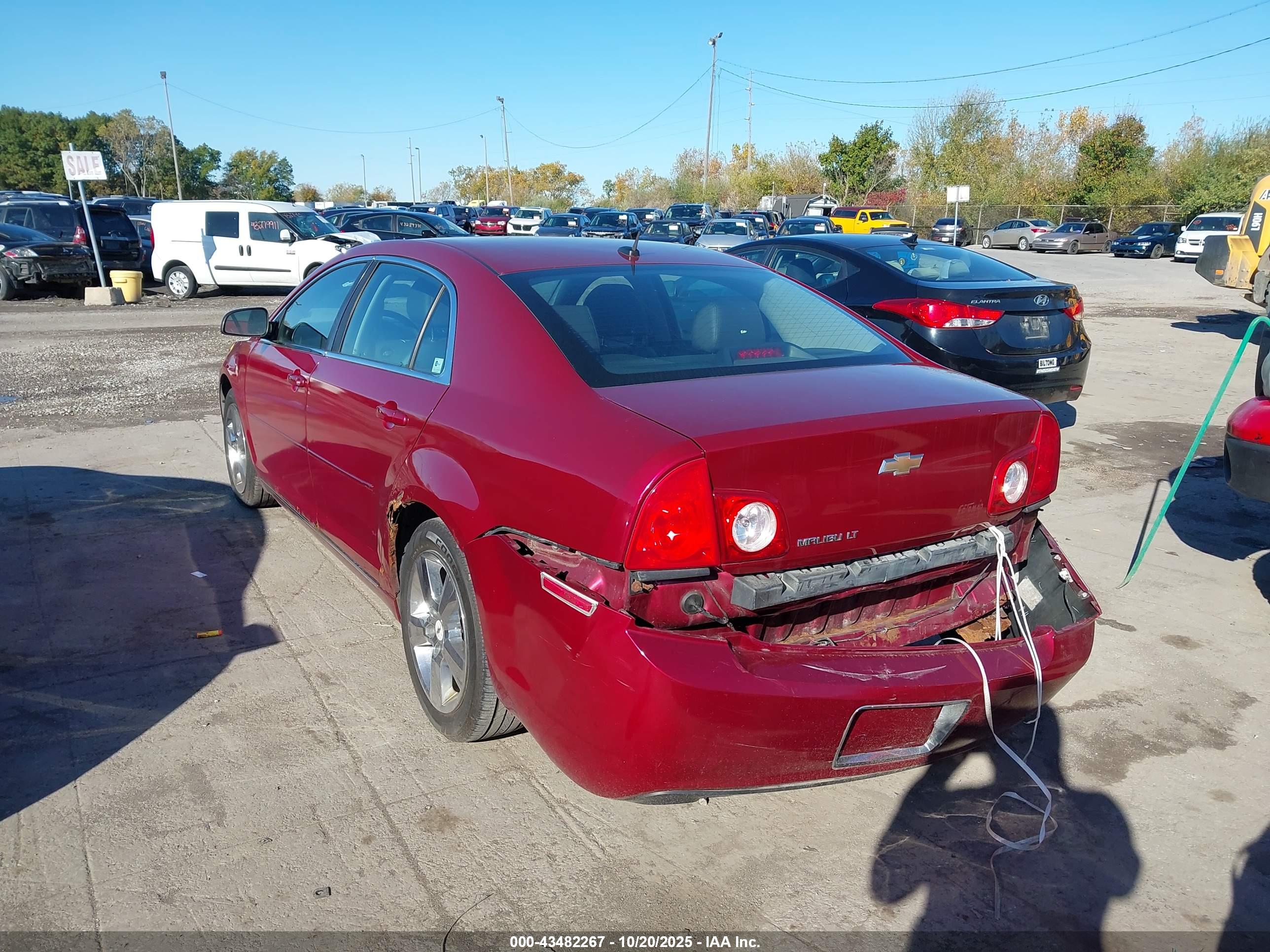 CHEVROLET MALIBU image 3