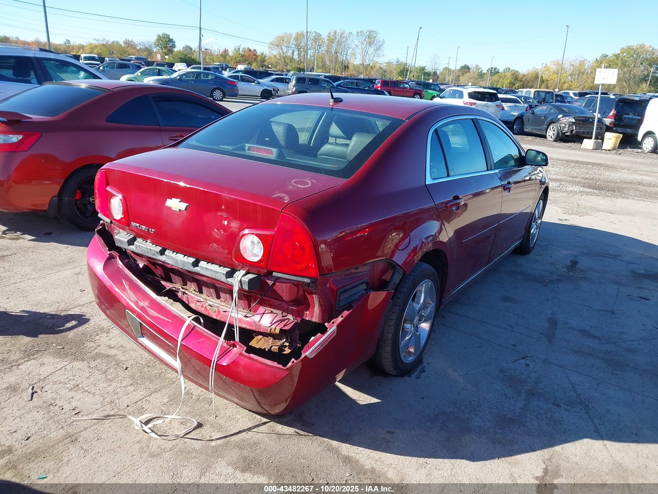 CHEVROLET MALIBU image 4