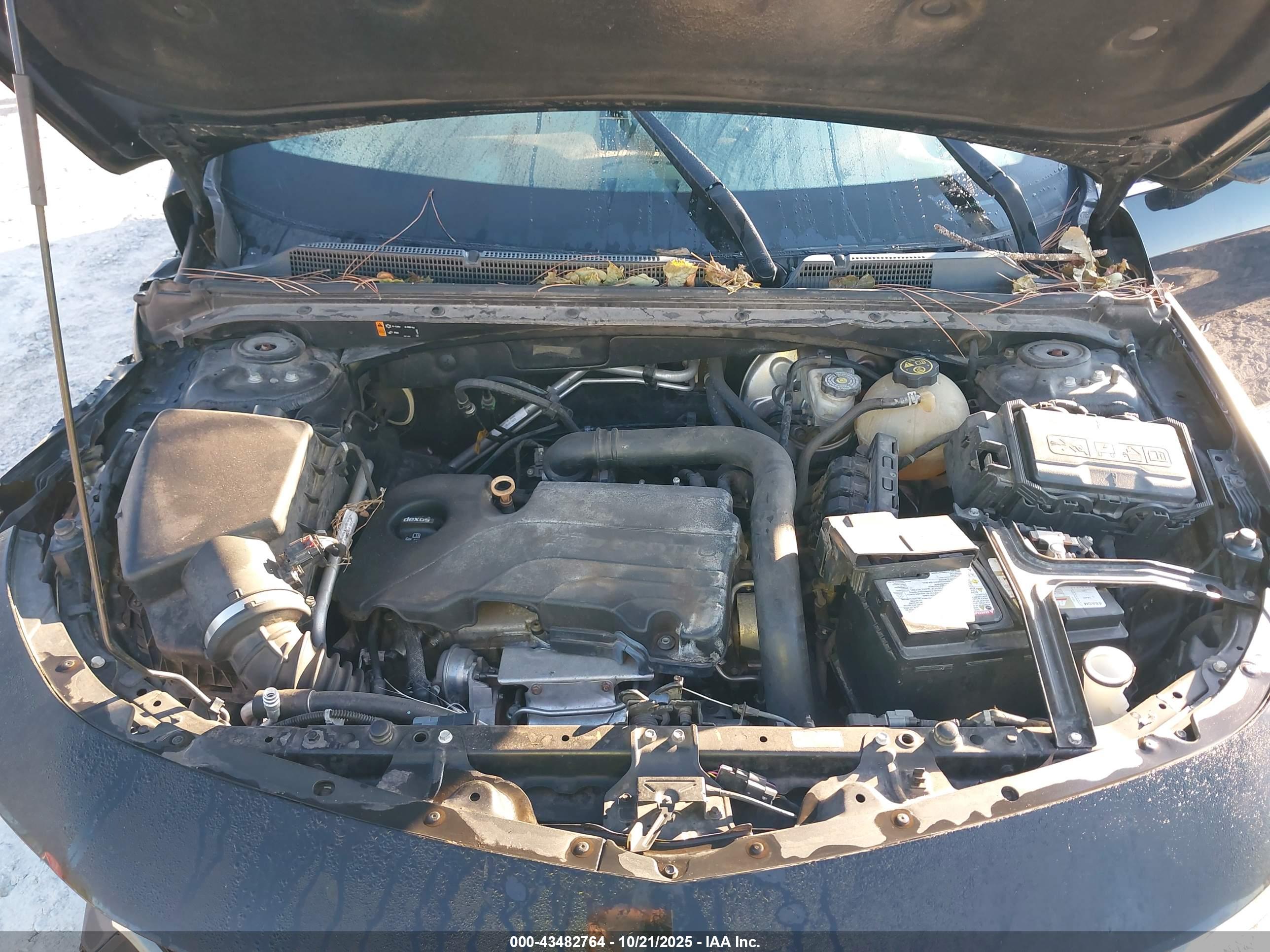 CHEVROLET MALIBU image 10