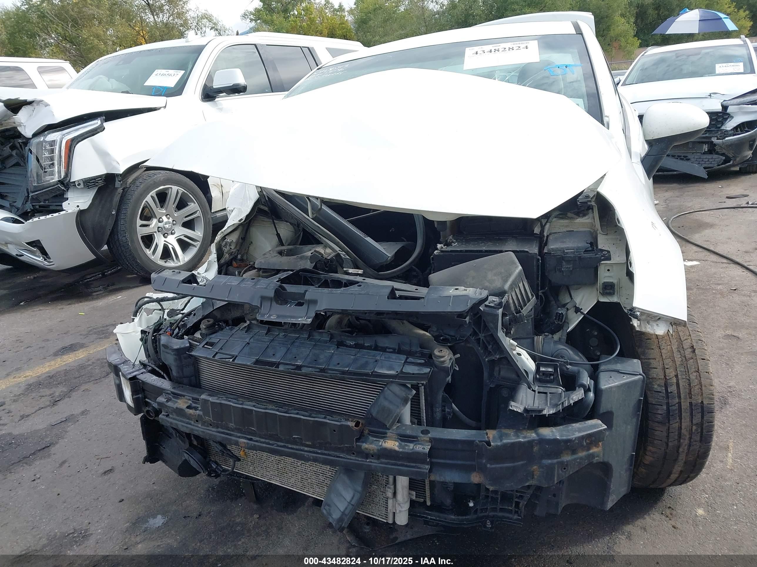 KIA RIO image 6