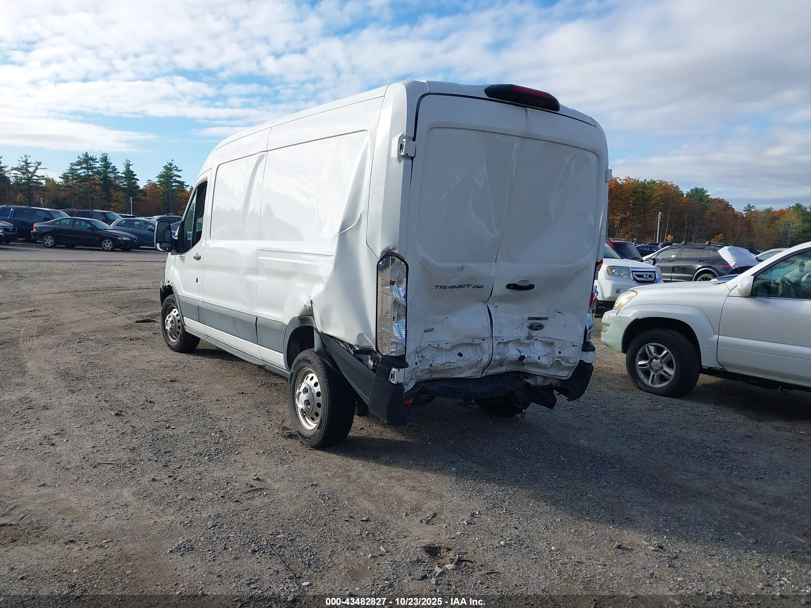 FORD TRANSIT-250 image 3