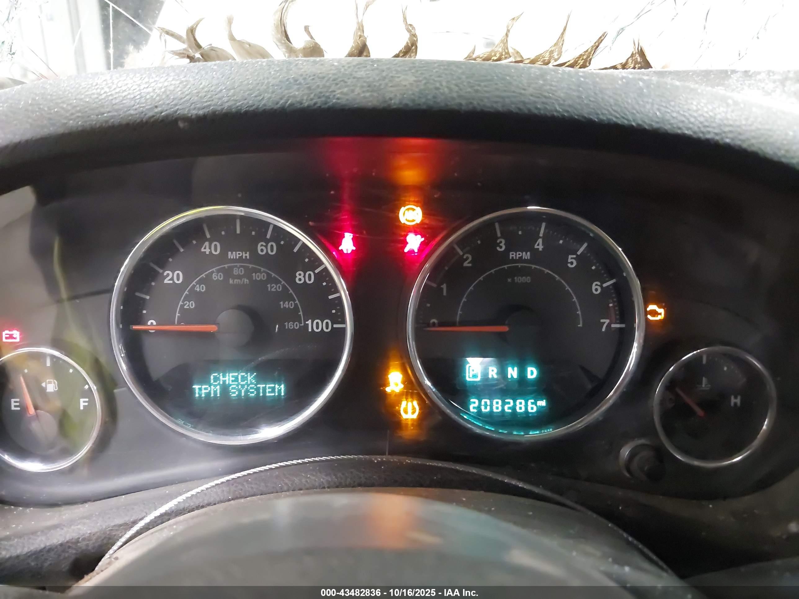 JEEP WRANGLER image 7