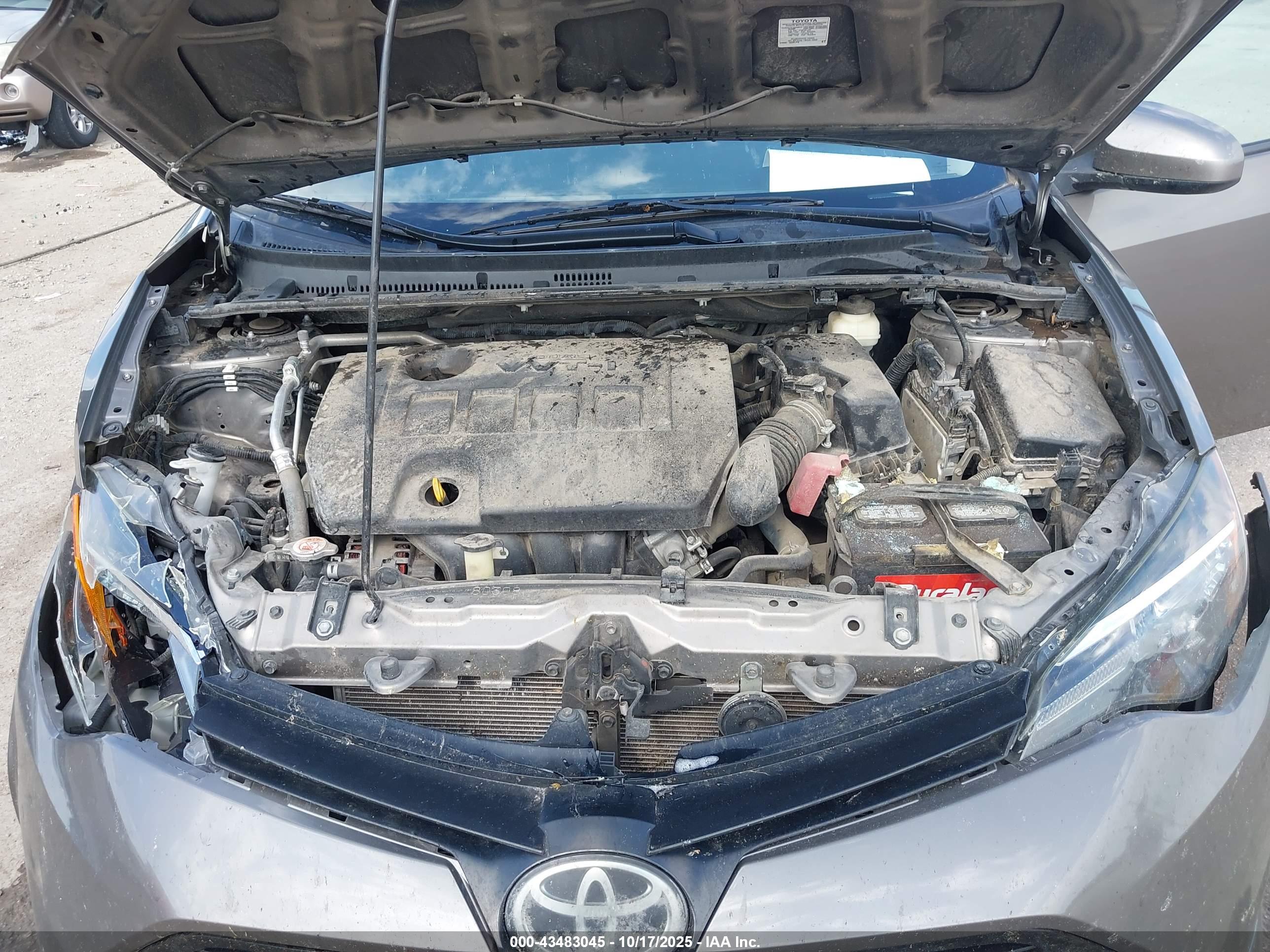 TOYOTA COROLLA image 10