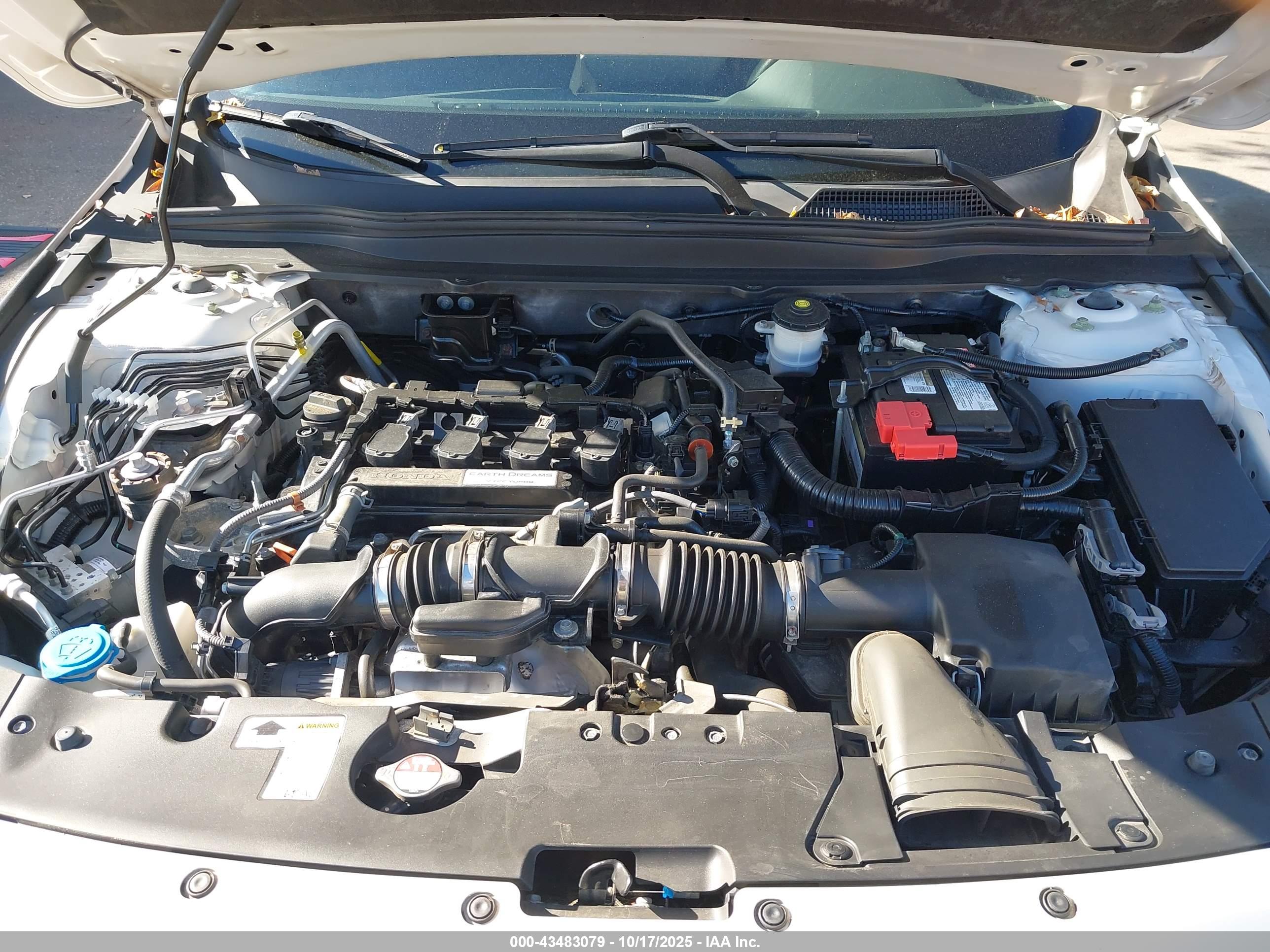 HONDA ACCORD image 10
