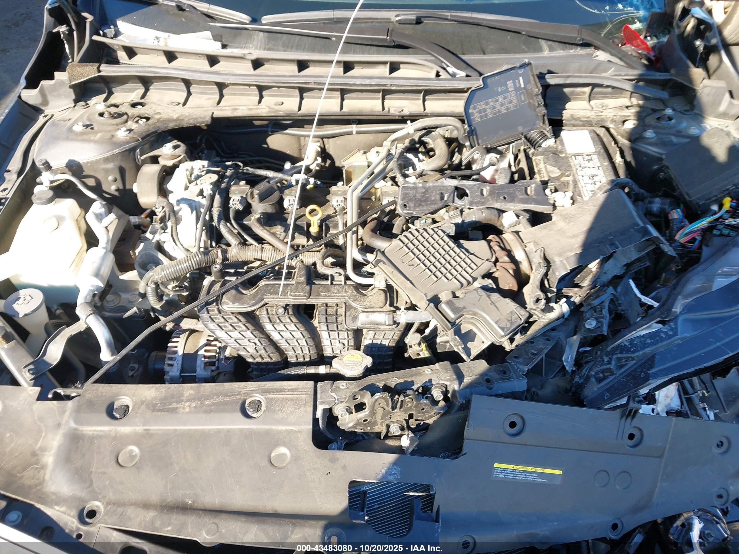 NISSAN ALTIMA image 10