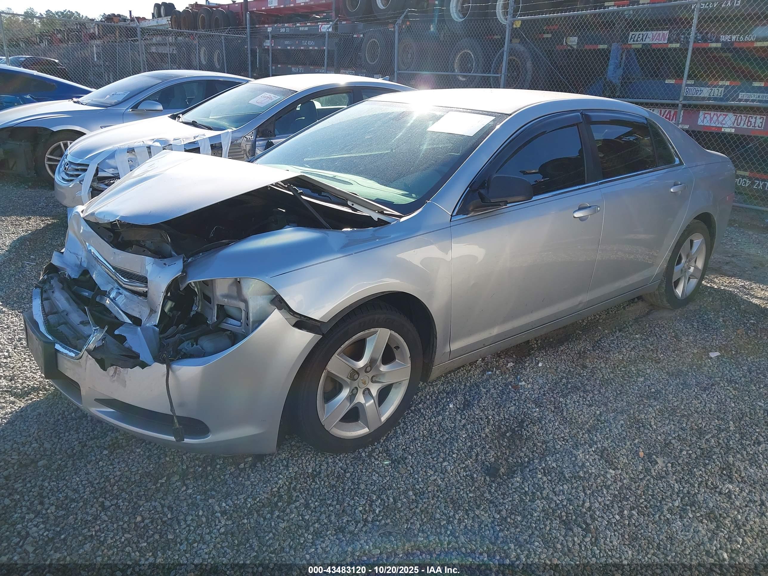 CHEVROLET MALIBU image 2