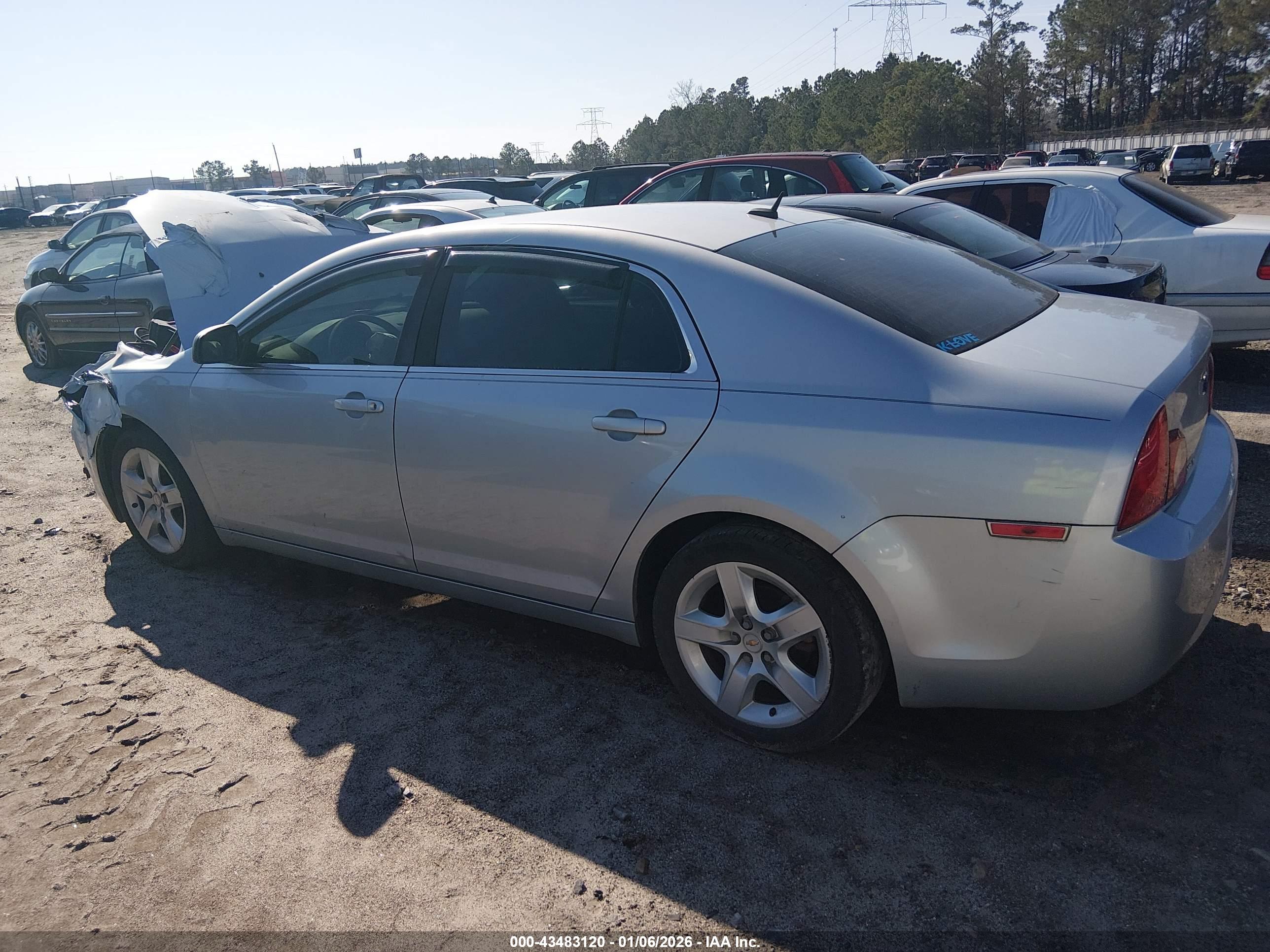 CHEVROLET MALIBU image 3