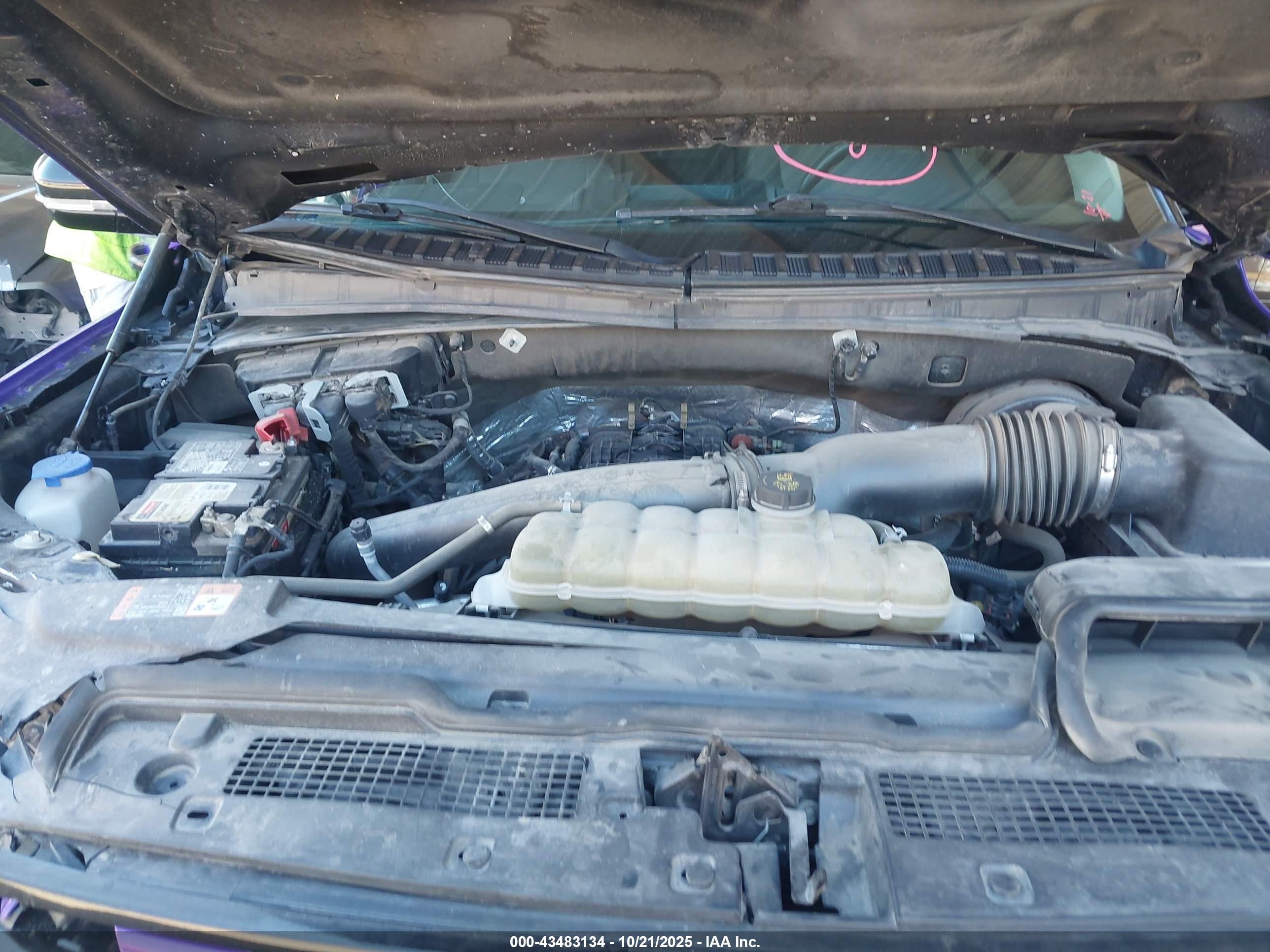 FORD EXPEDITION image 10