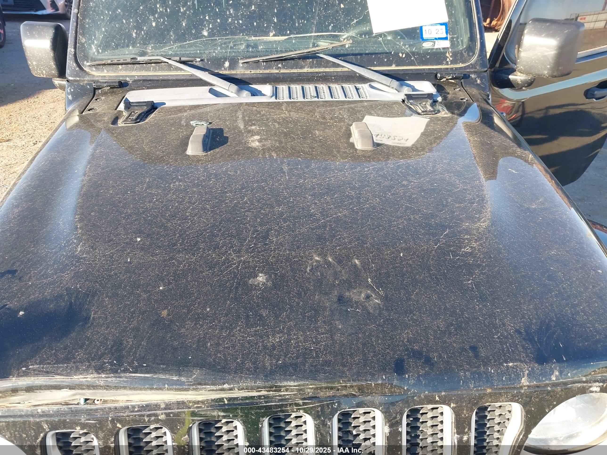 JEEP WRANGLER image 10