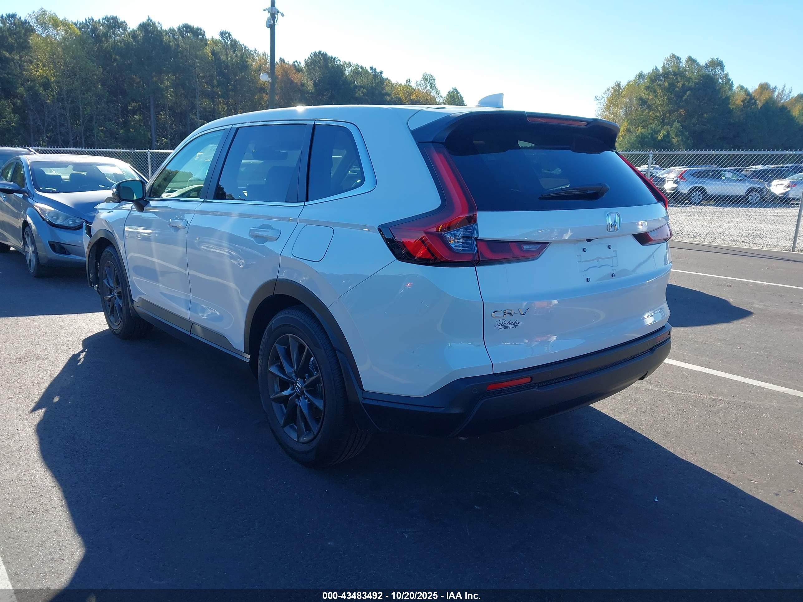 HONDA CR-V image 3