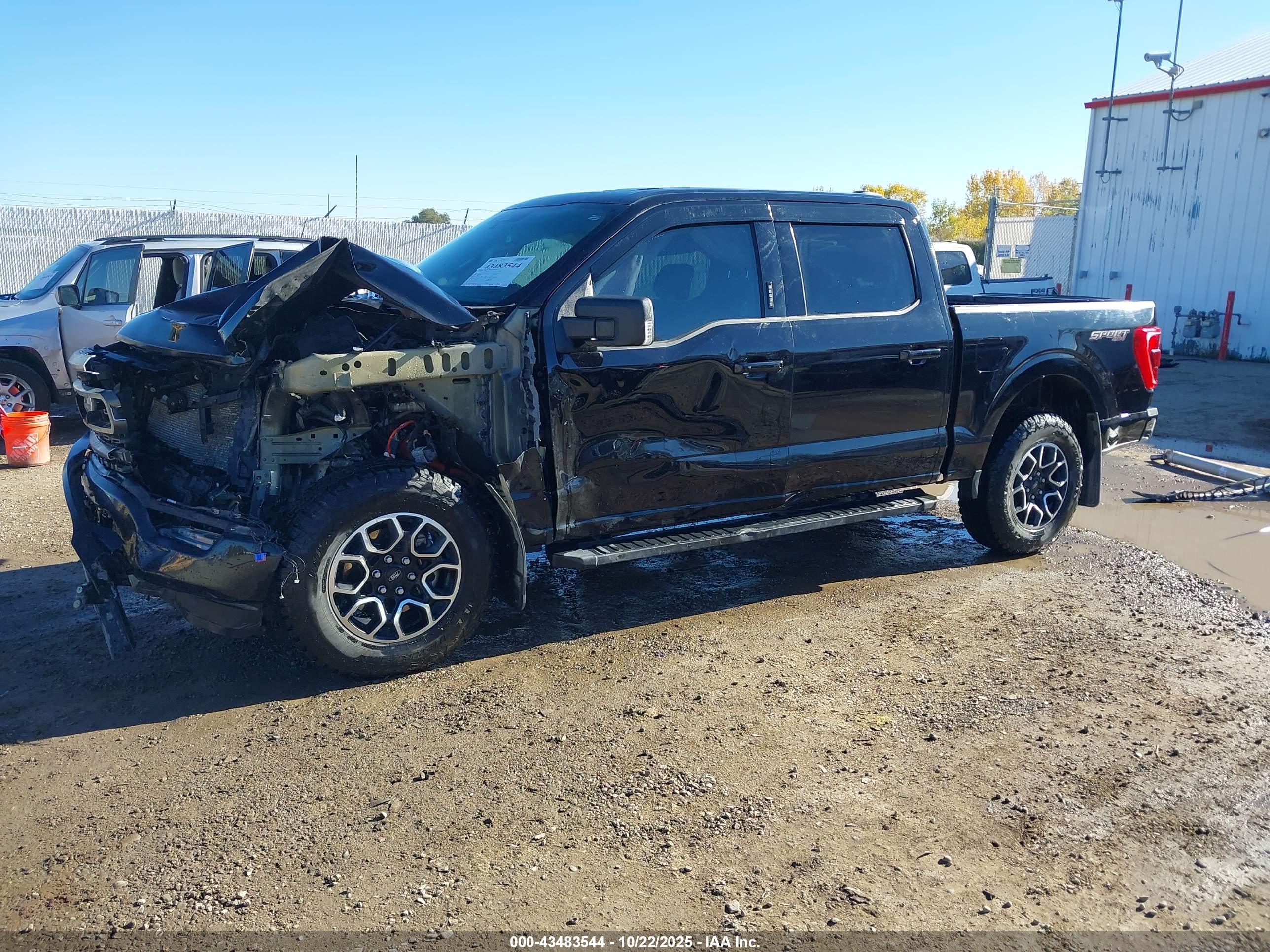 FORD F-150 image 2