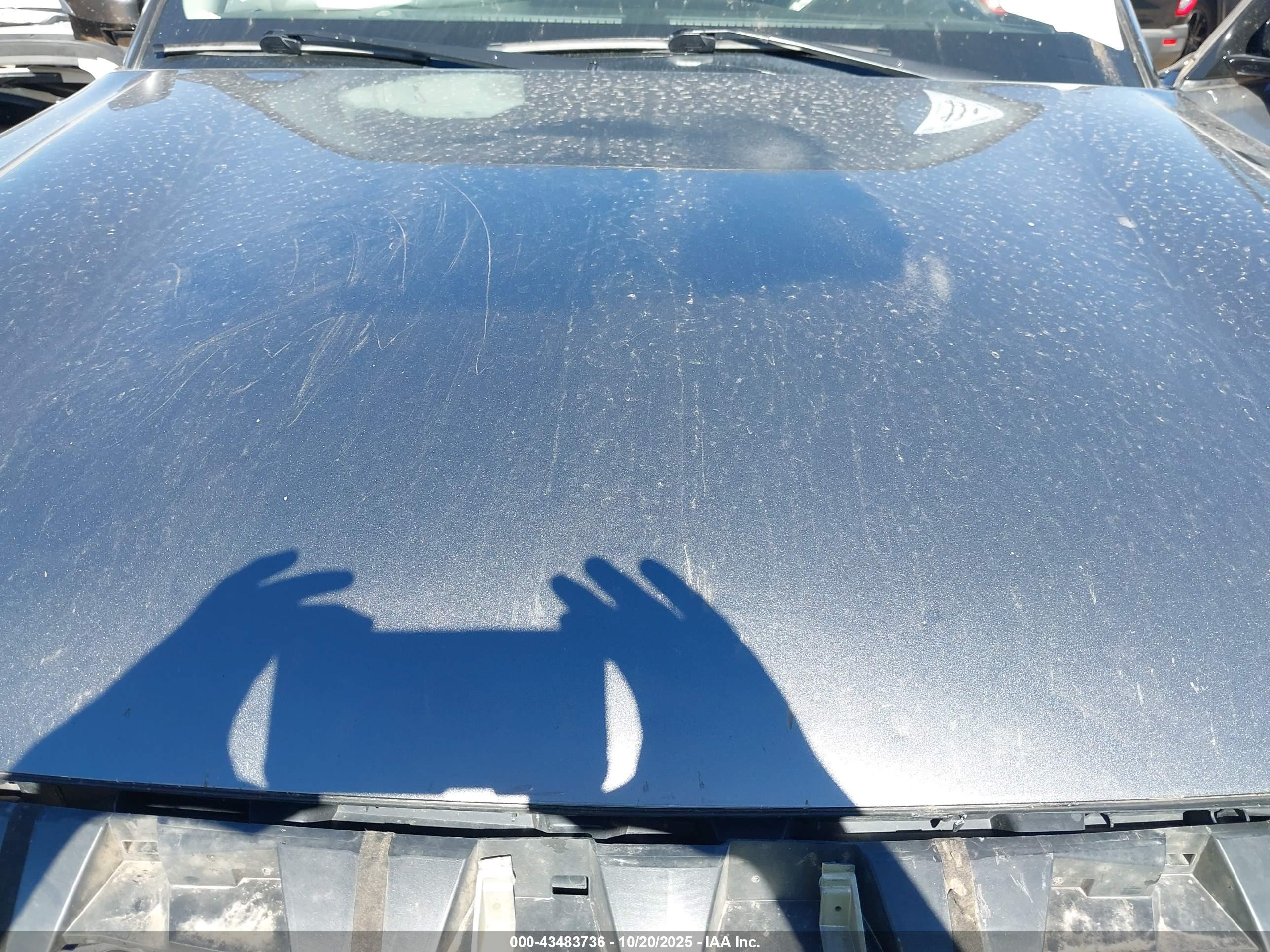 INFINITI QX80 image 10