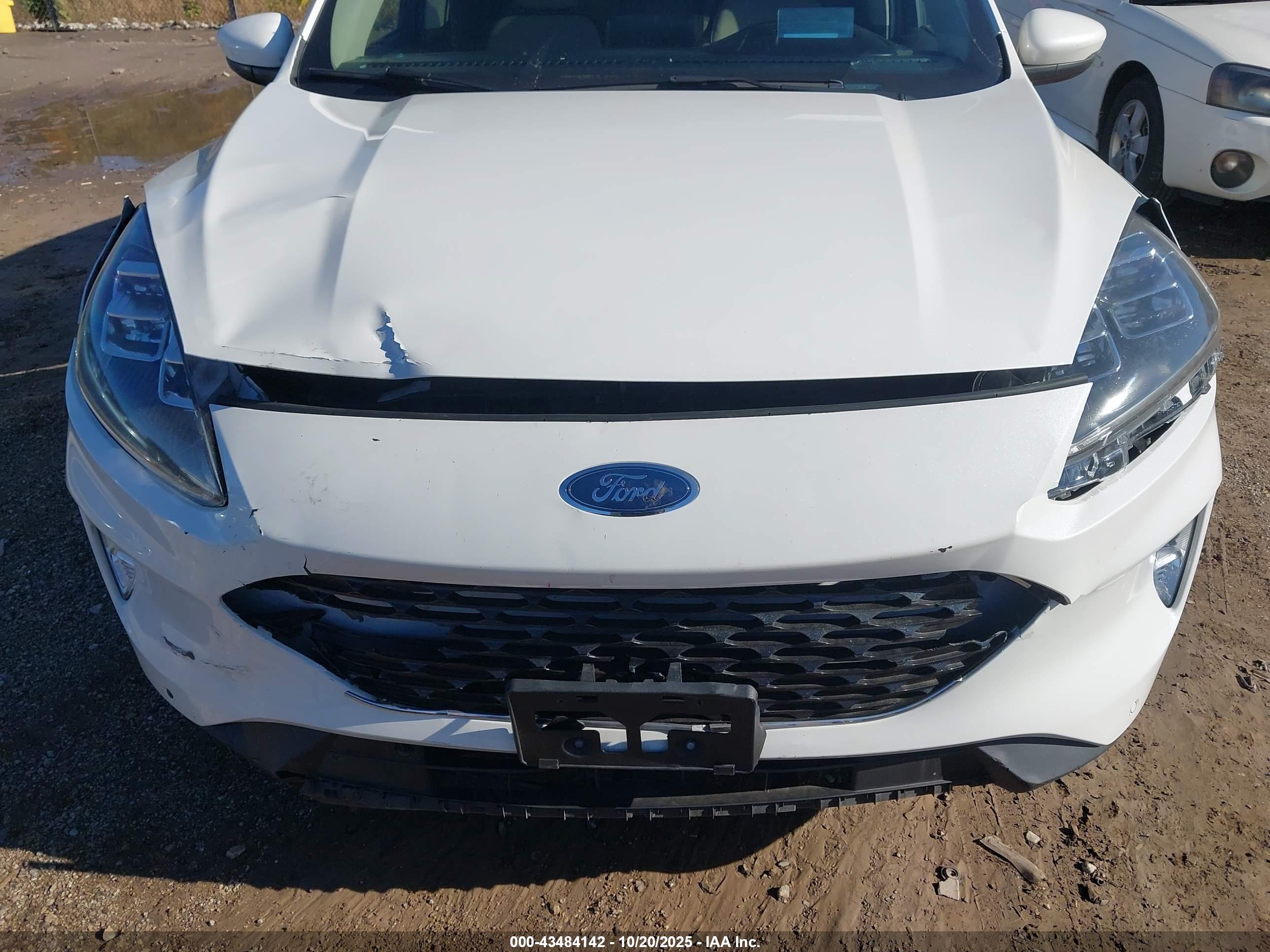 FORD ESCAPE image 6