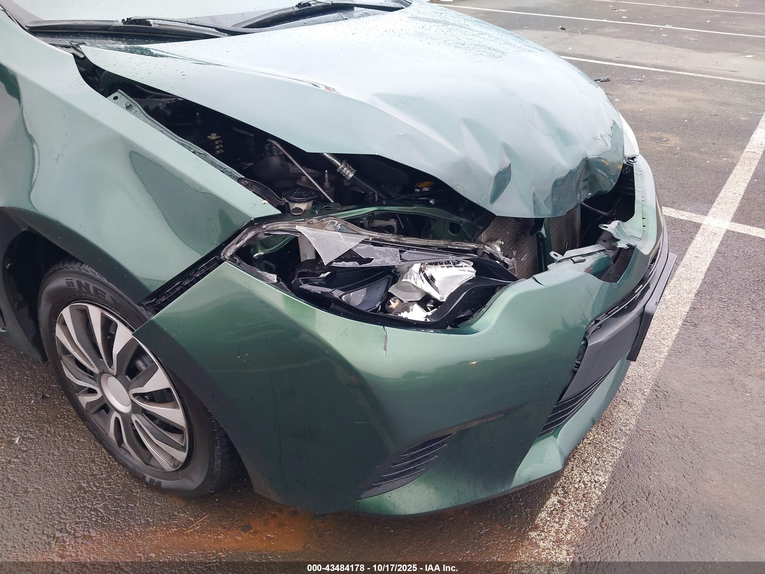 TOYOTA COROLLA image 6
