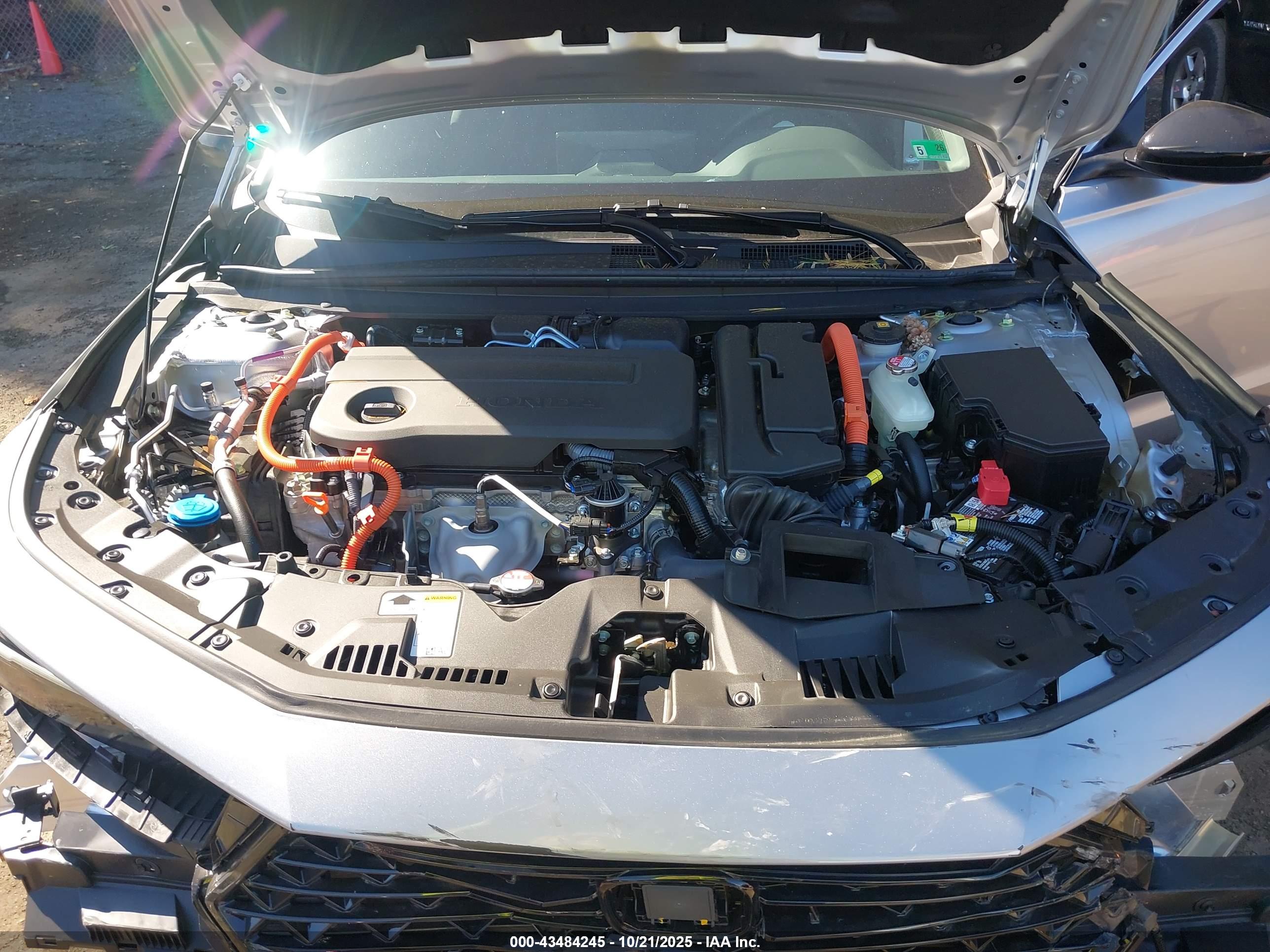 HONDA ACCORD image 10
