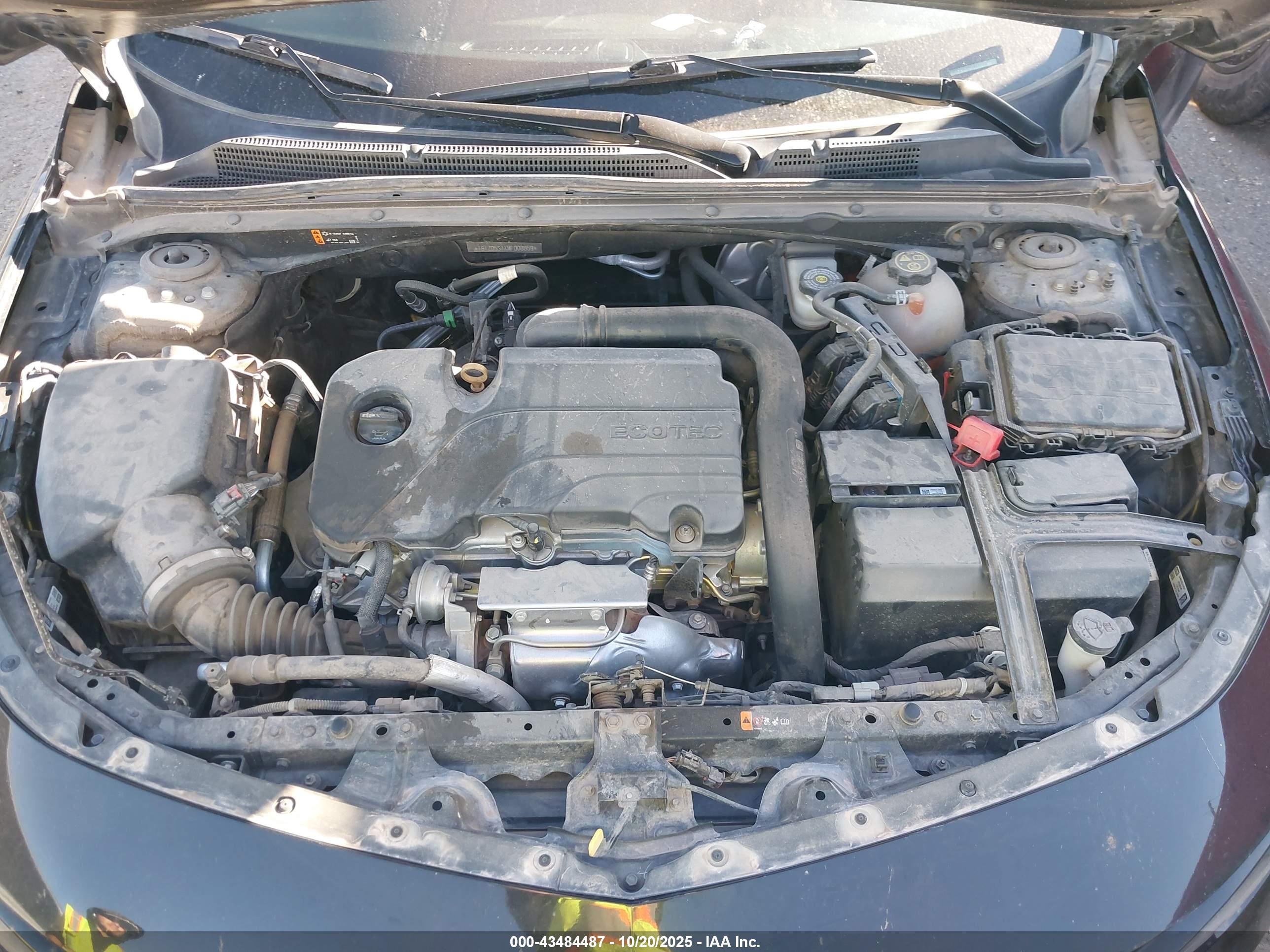 CHEVROLET MALIBU image 10