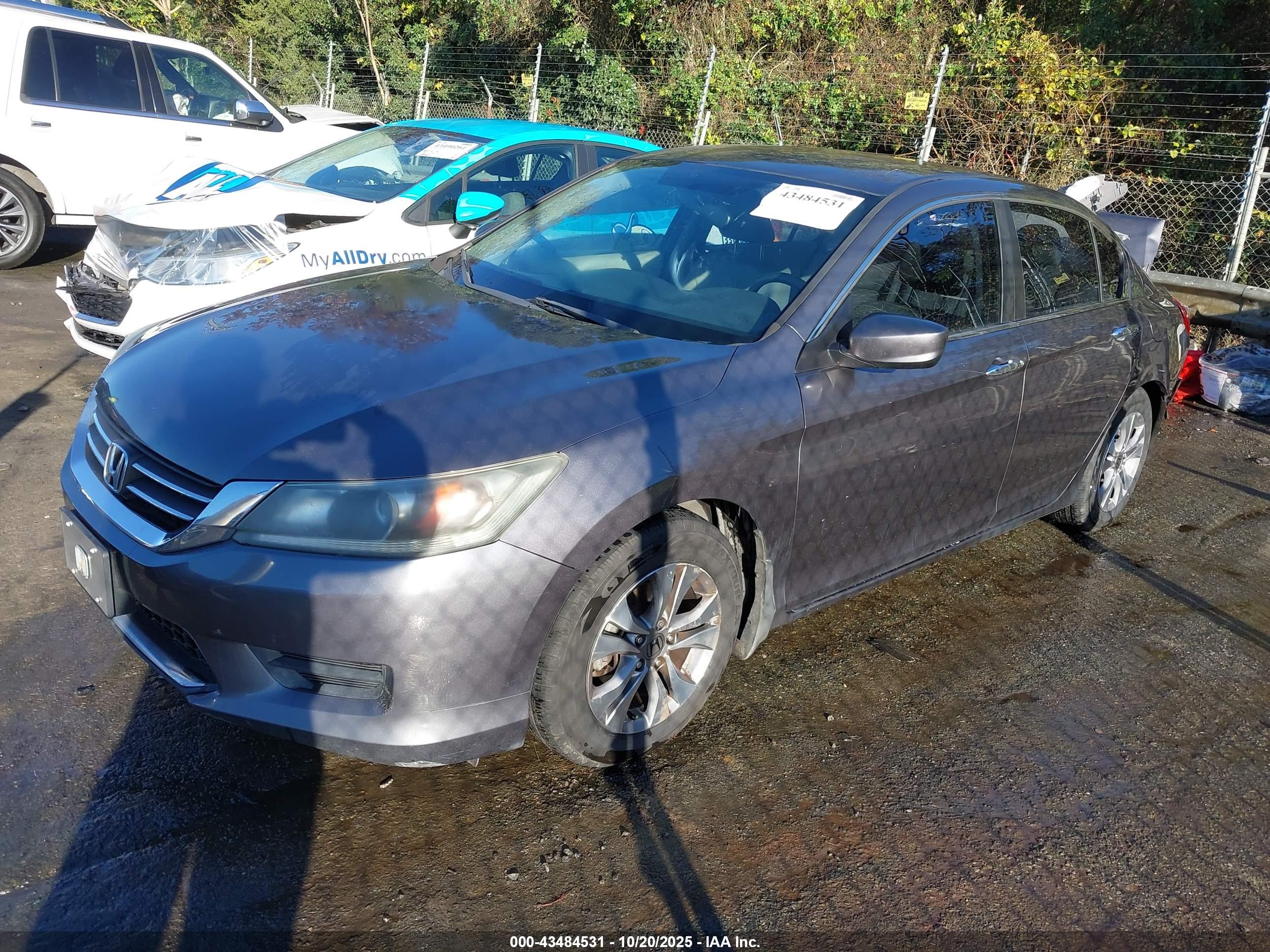 HONDA ACCORD image 2