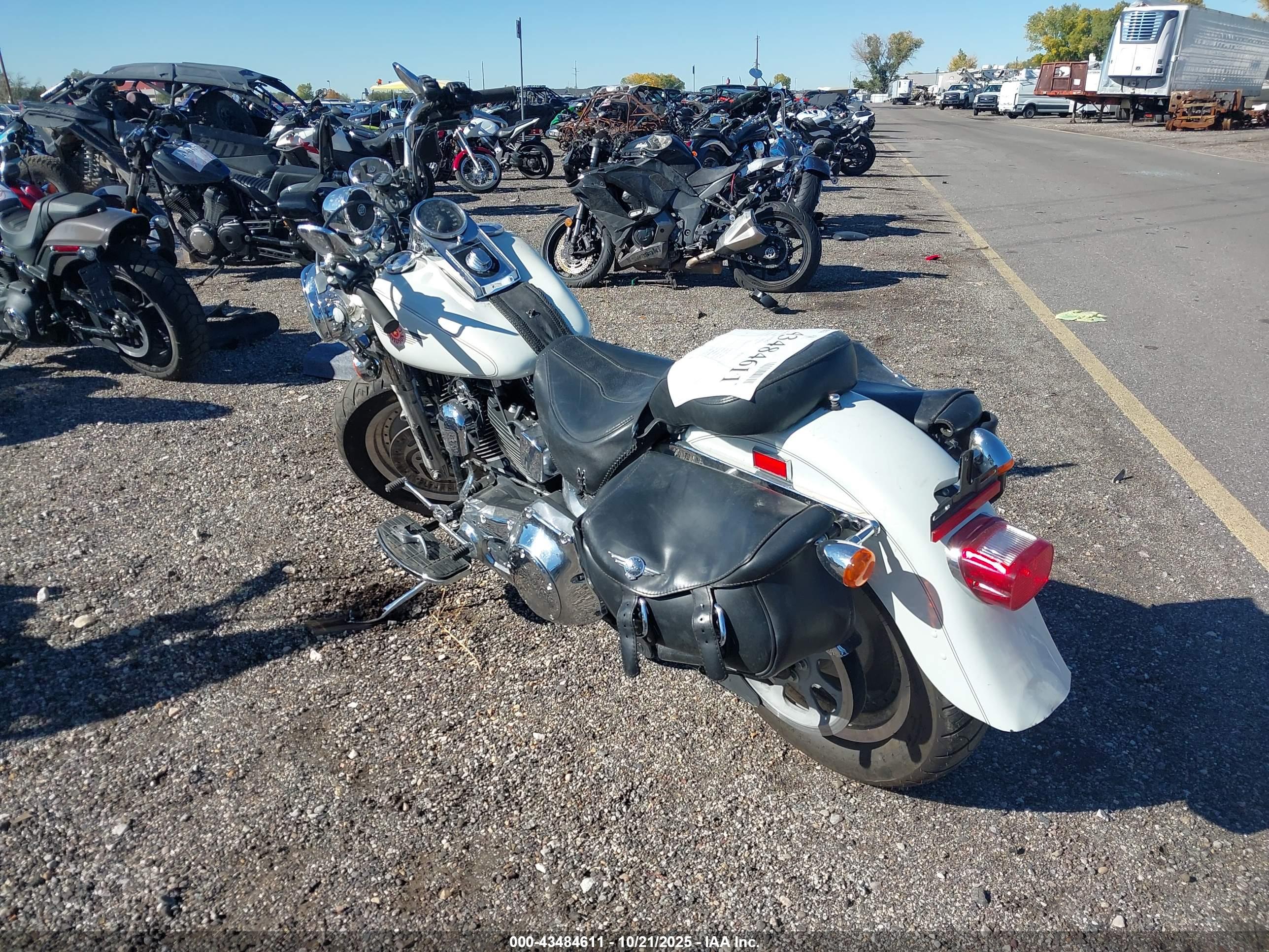 HARLEY-DAVIDSON FLSTFI image 3