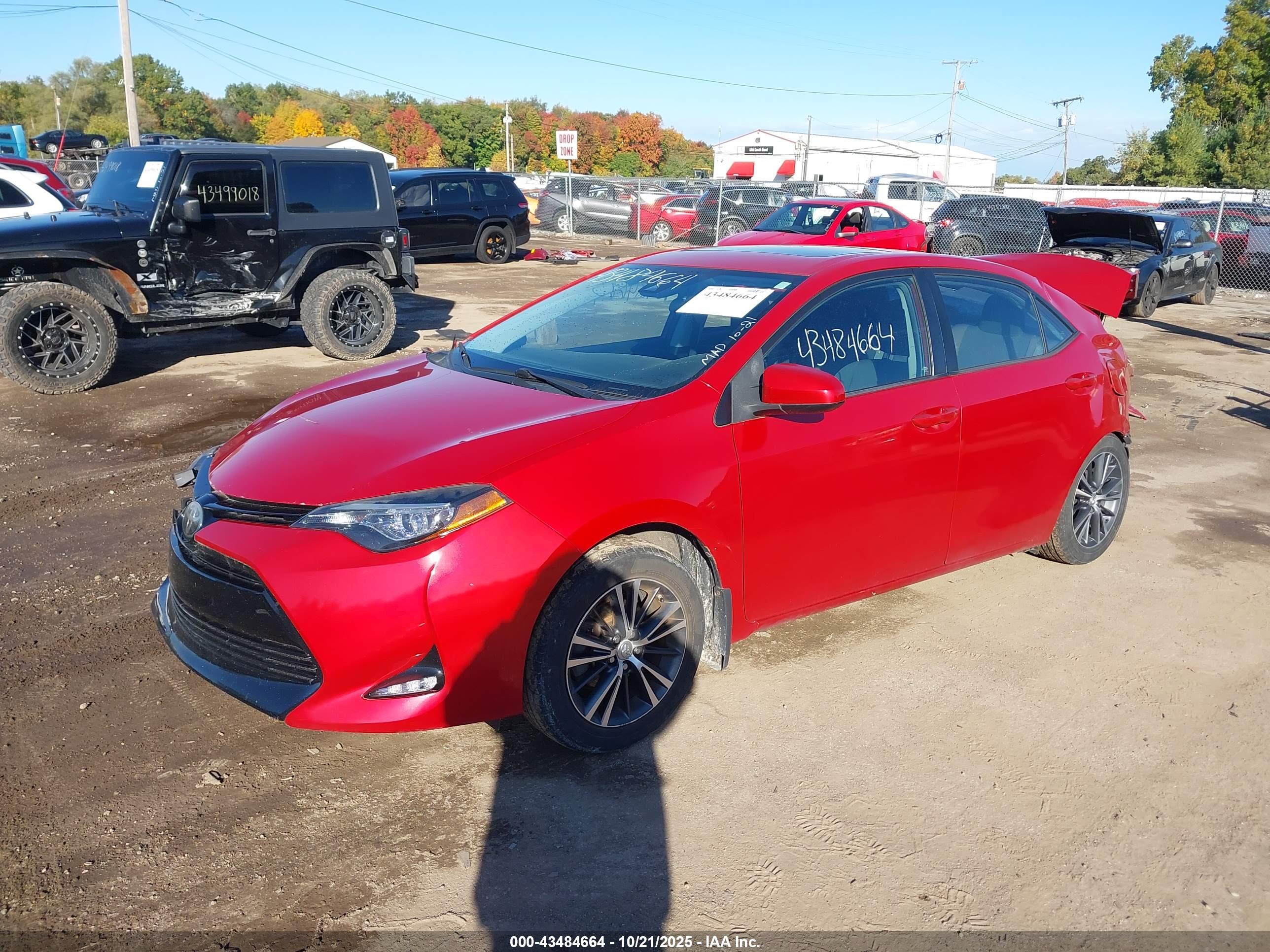 TOYOTA COROLLA image 2