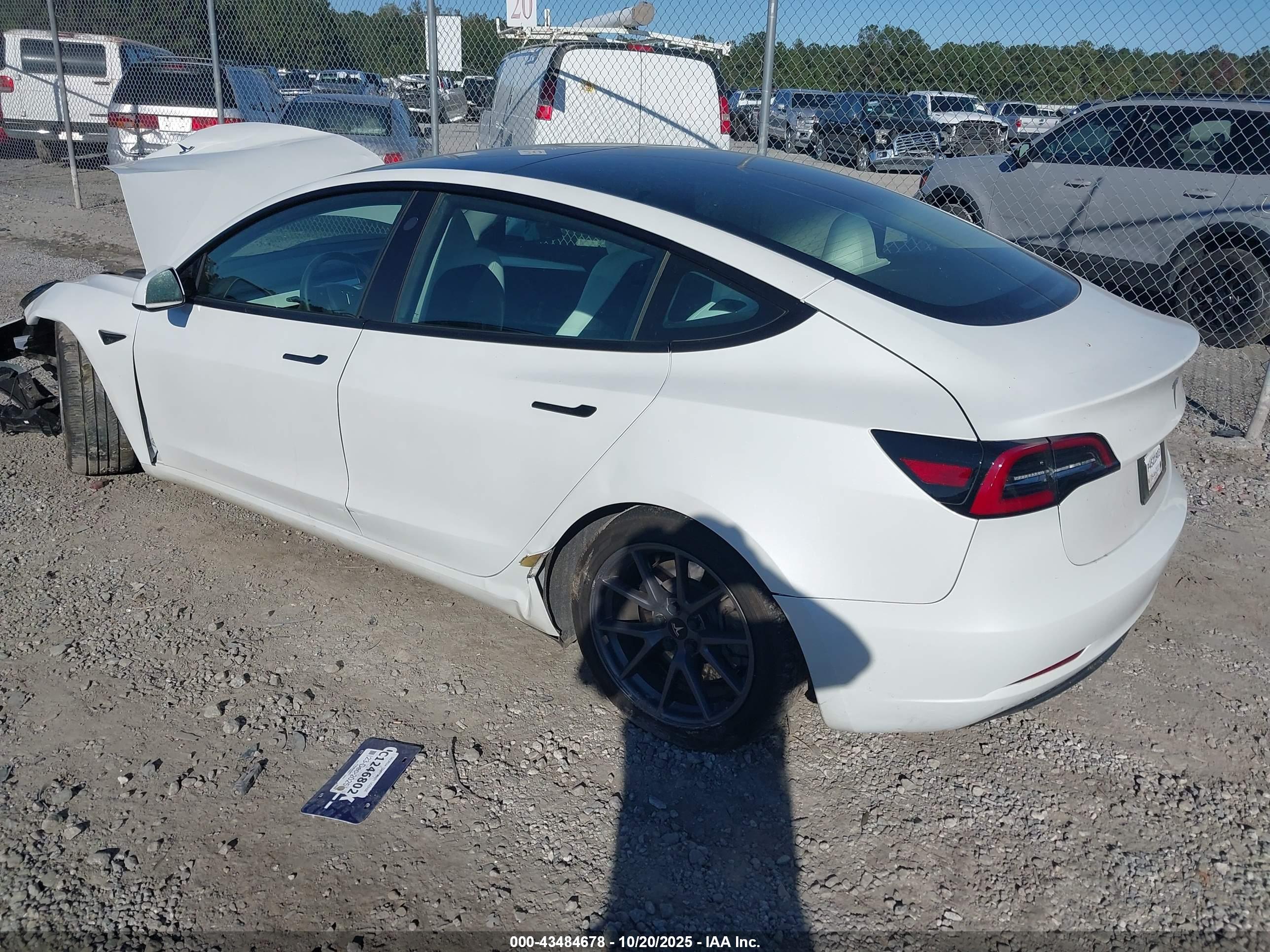 TESLA MODEL image 3