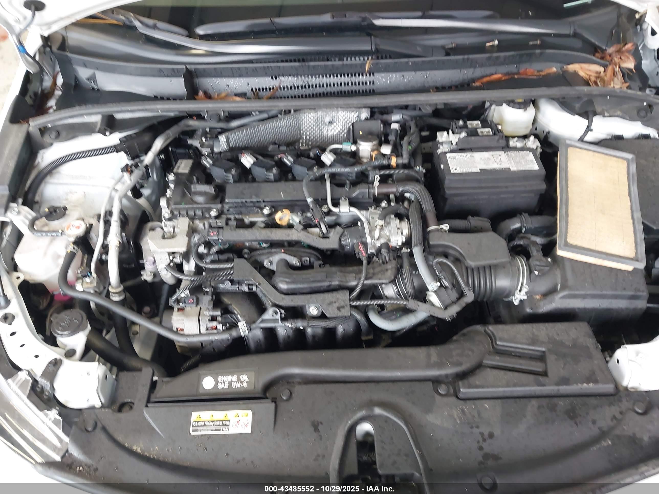TOYOTA COROLLA image 10