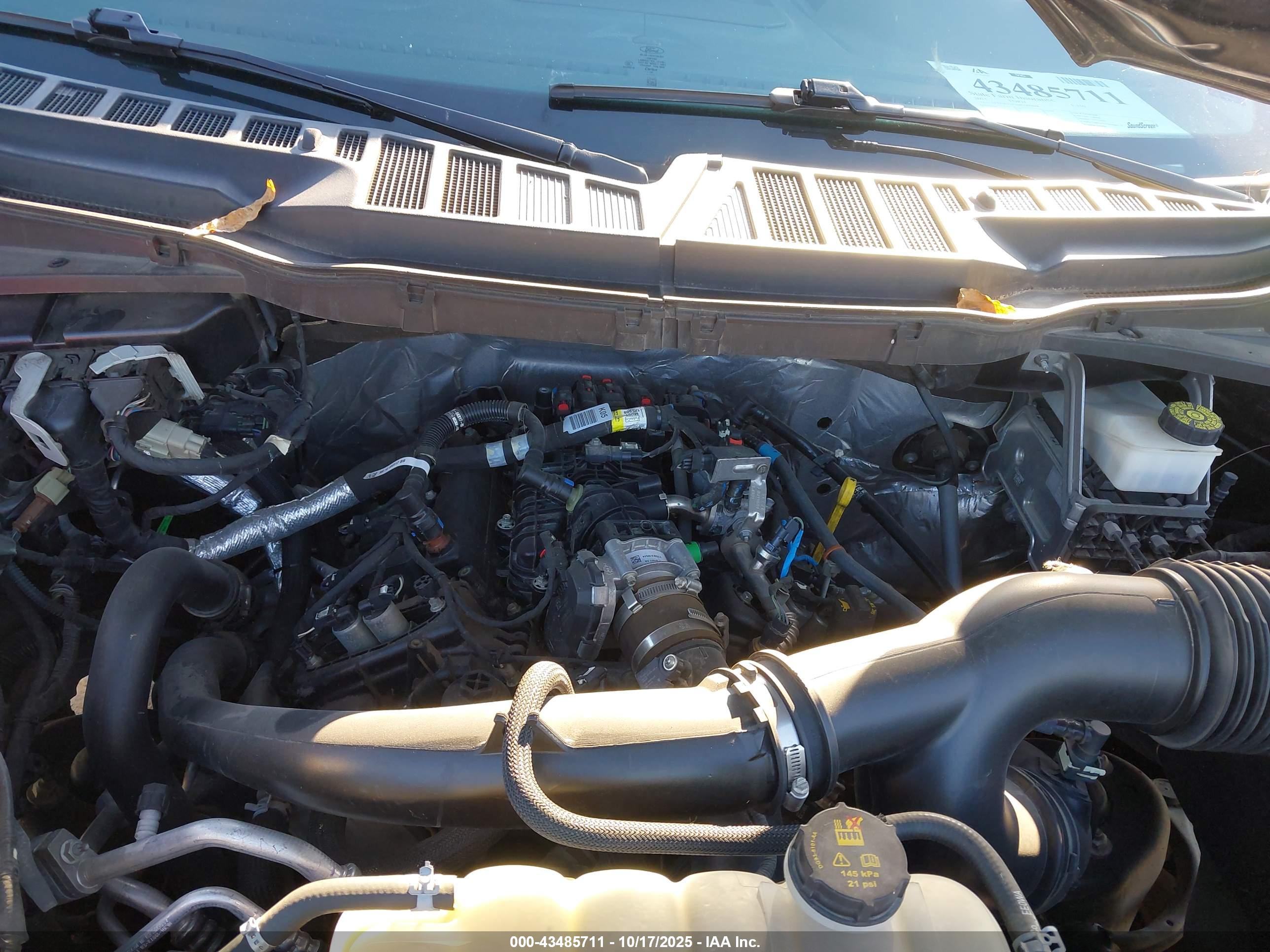 FORD F-150 image 10
