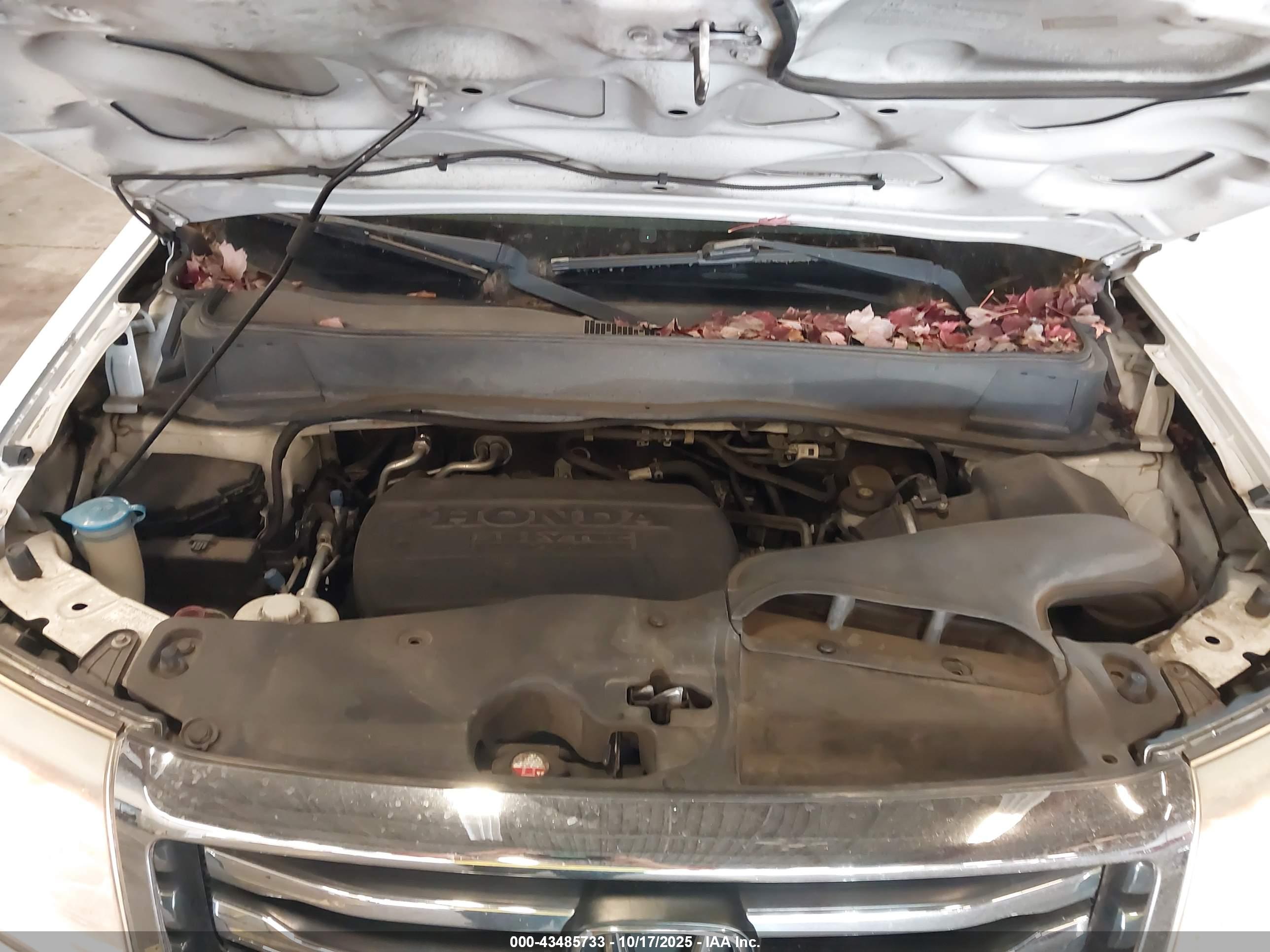 HONDA PILOT image 10