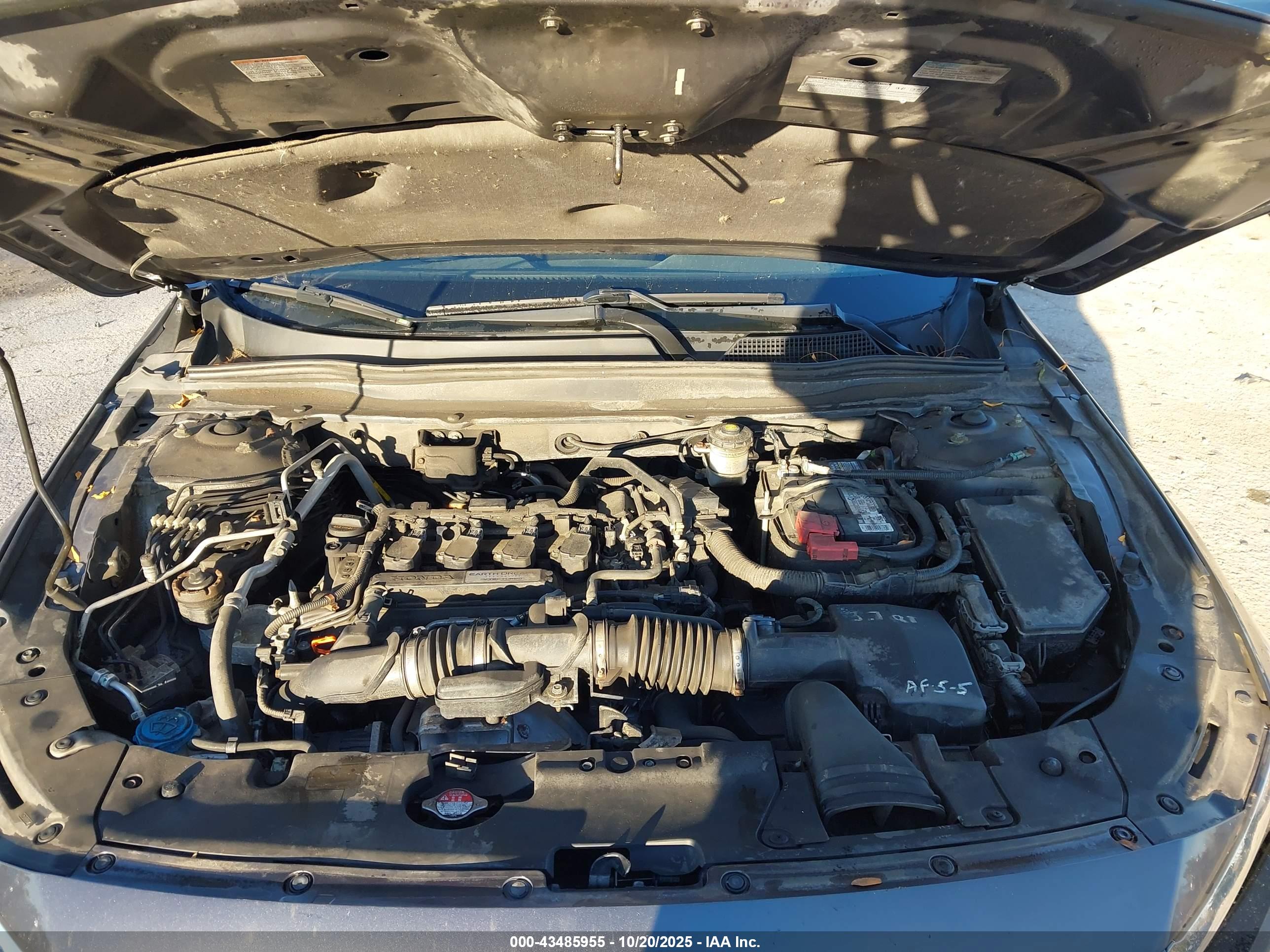 HONDA ACCORD image 10