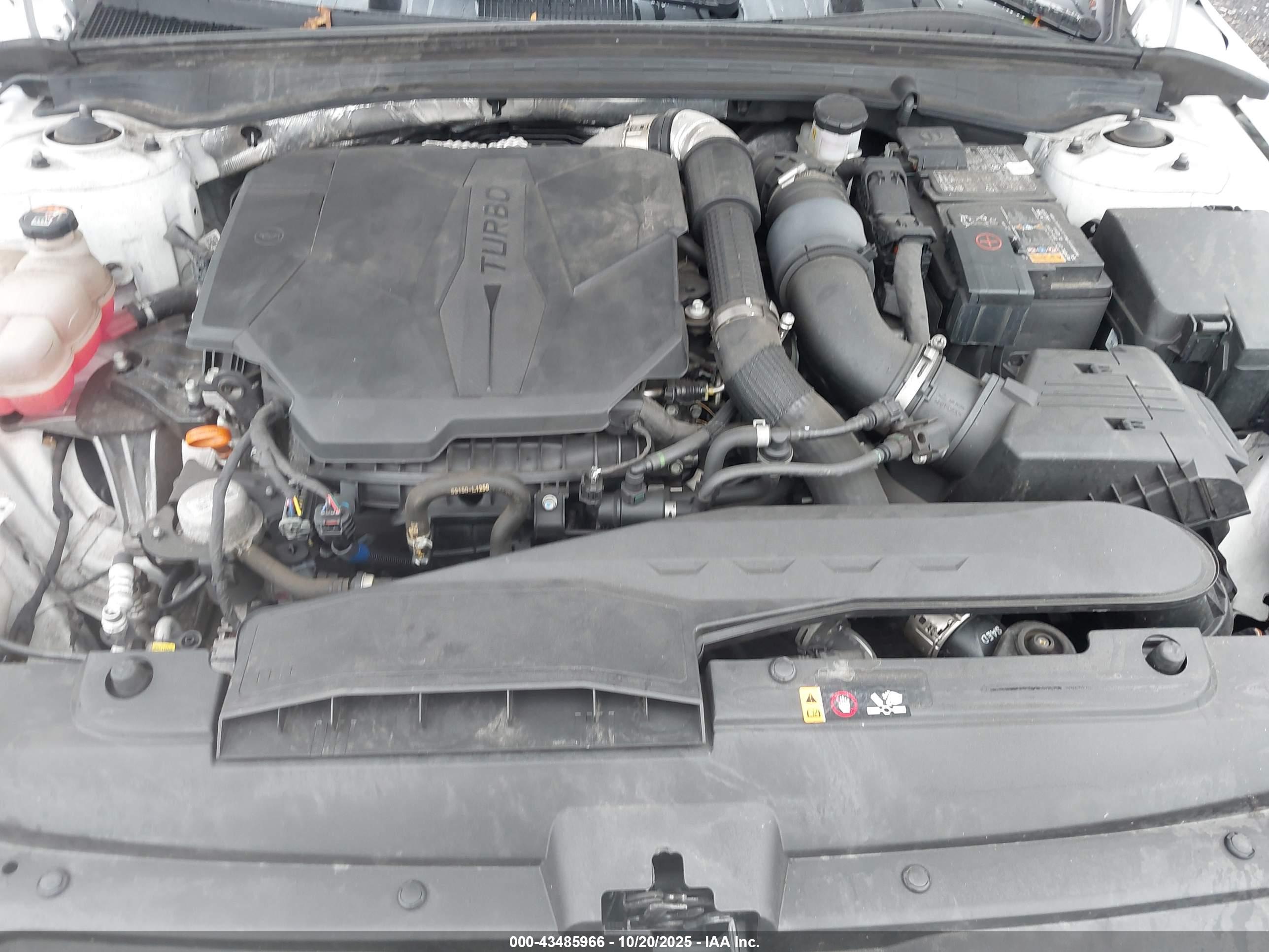 KIA K5 image 10