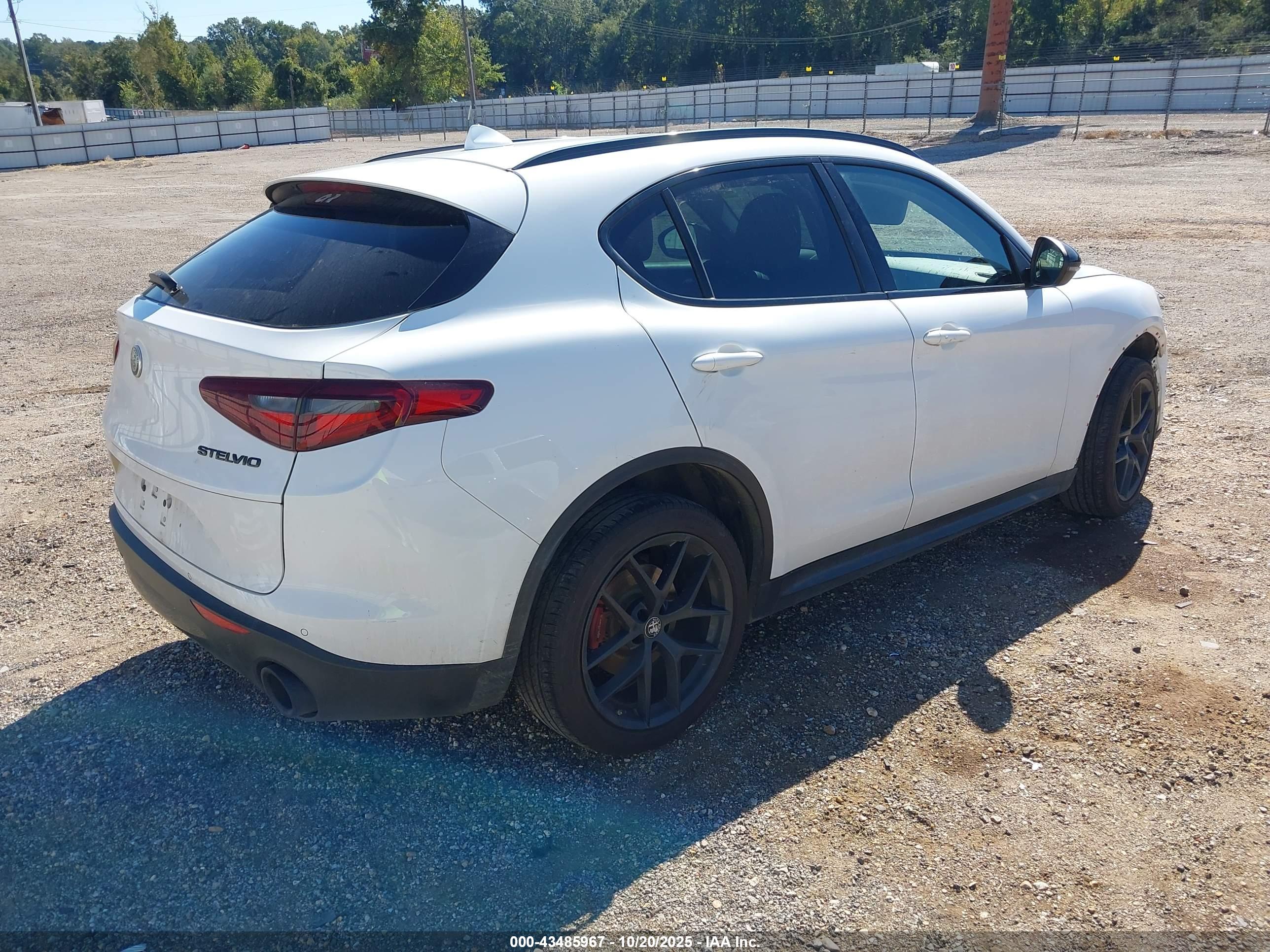 ALFA ROMEO image 4