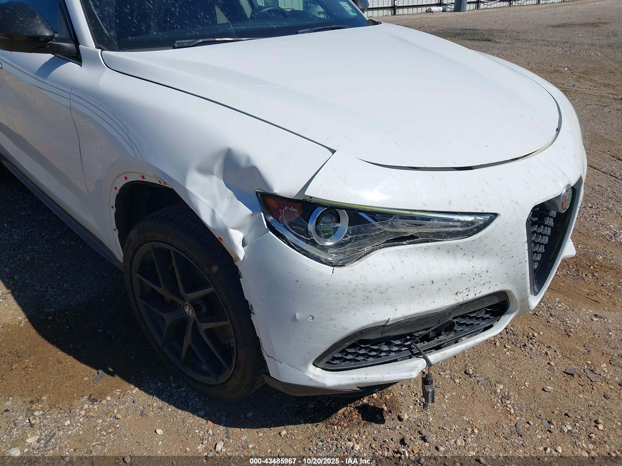 ALFA ROMEO image 6