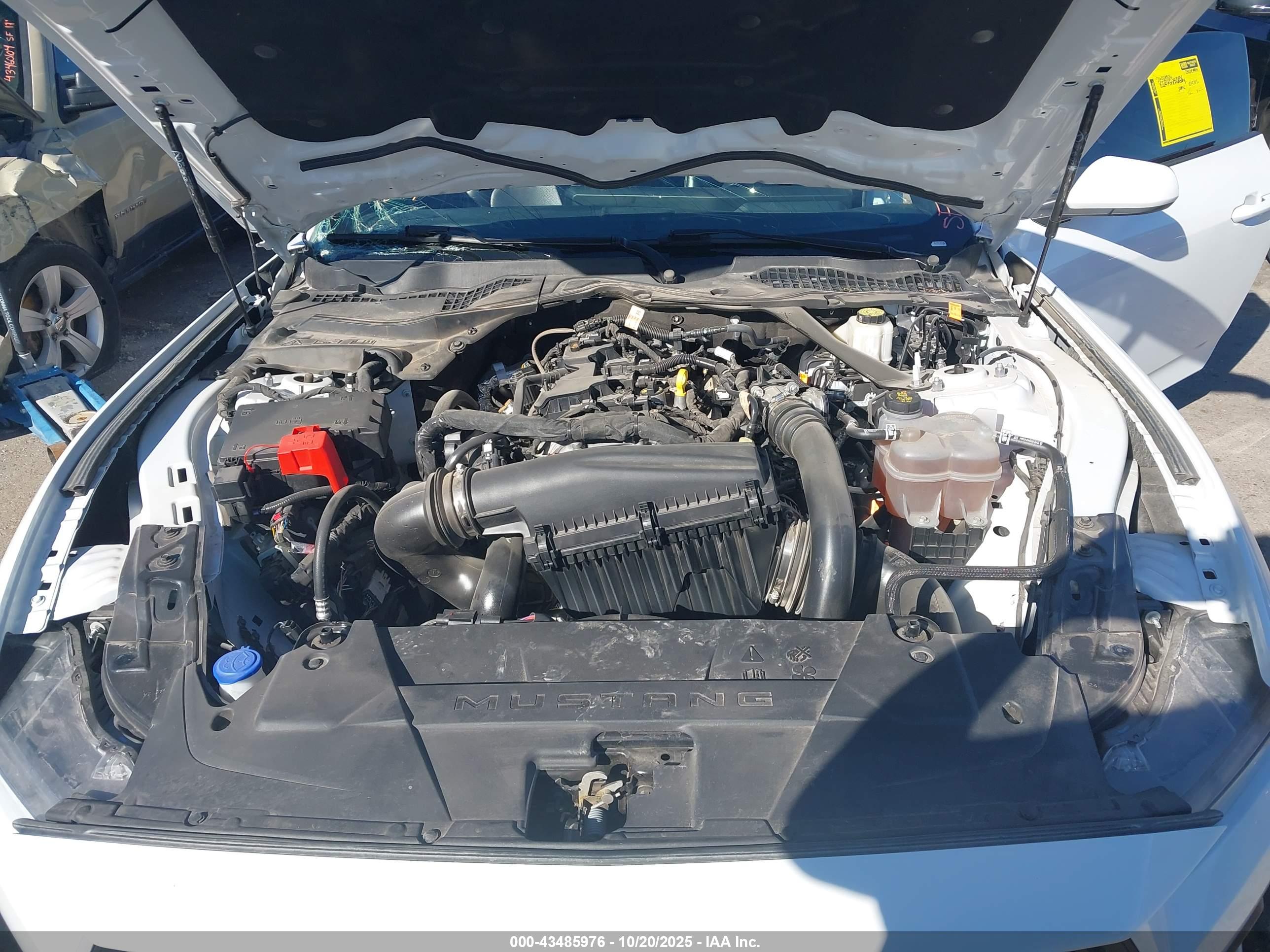 FORD MUSTANG image 10