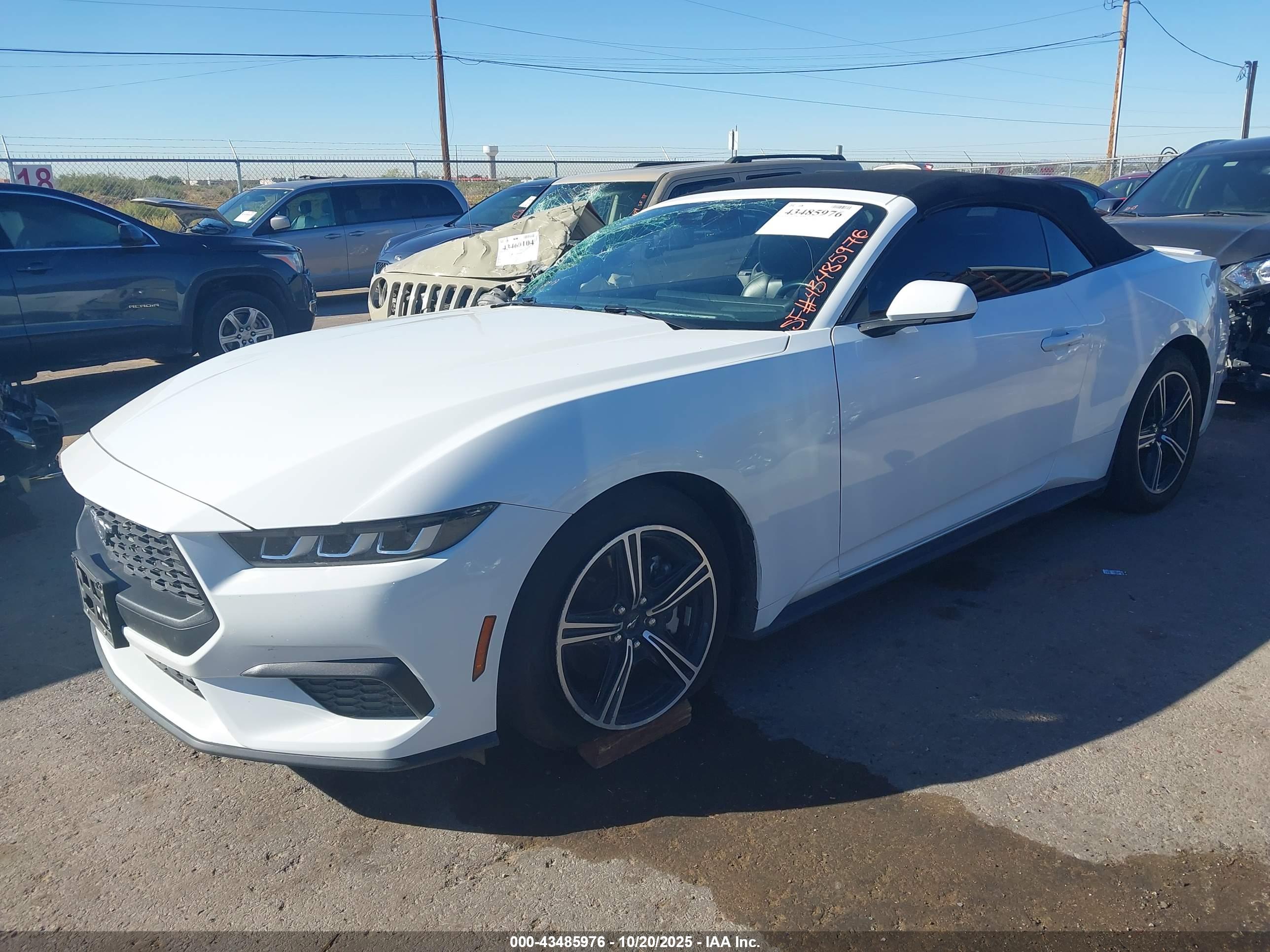 FORD MUSTANG image 2