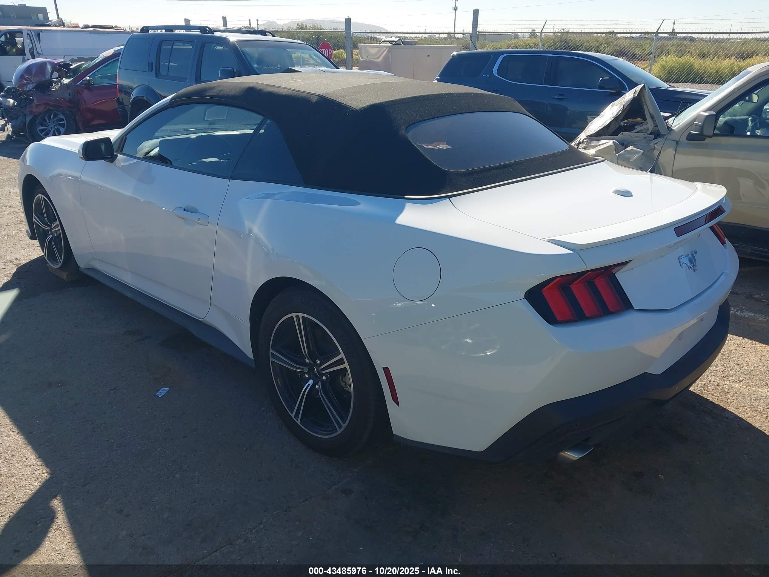 FORD MUSTANG image 3