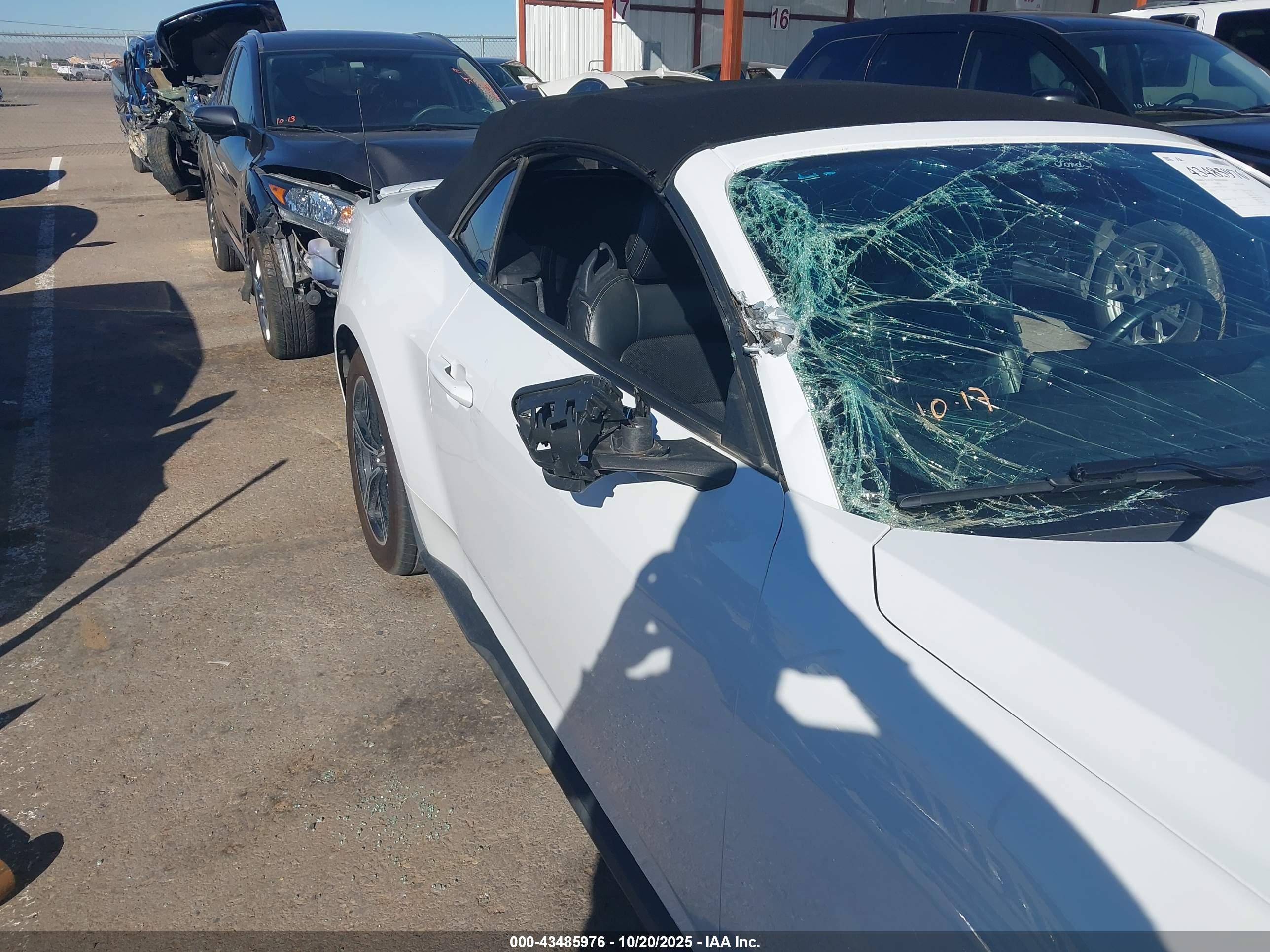 FORD MUSTANG image 6