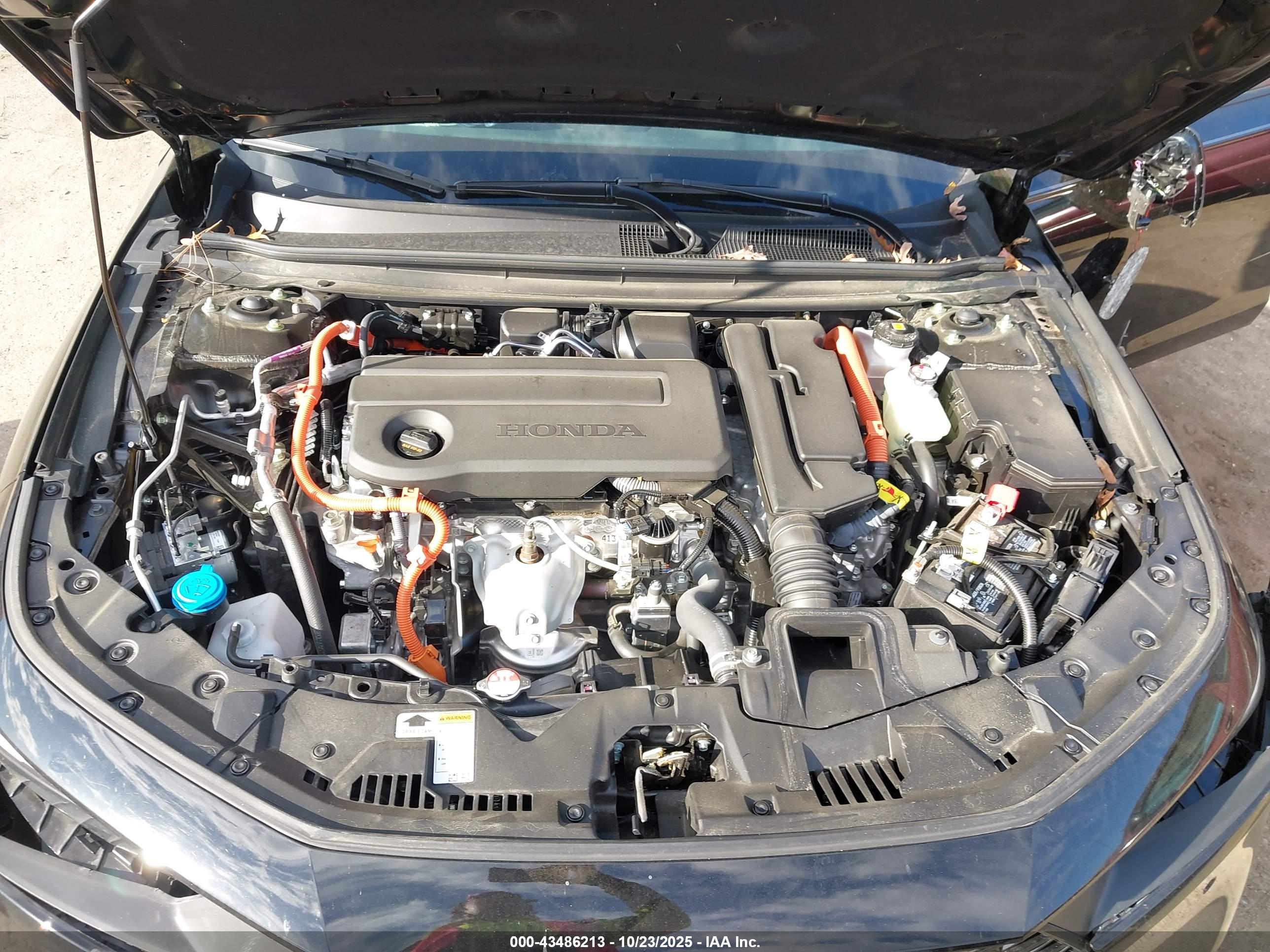 HONDA ACCORD image 10