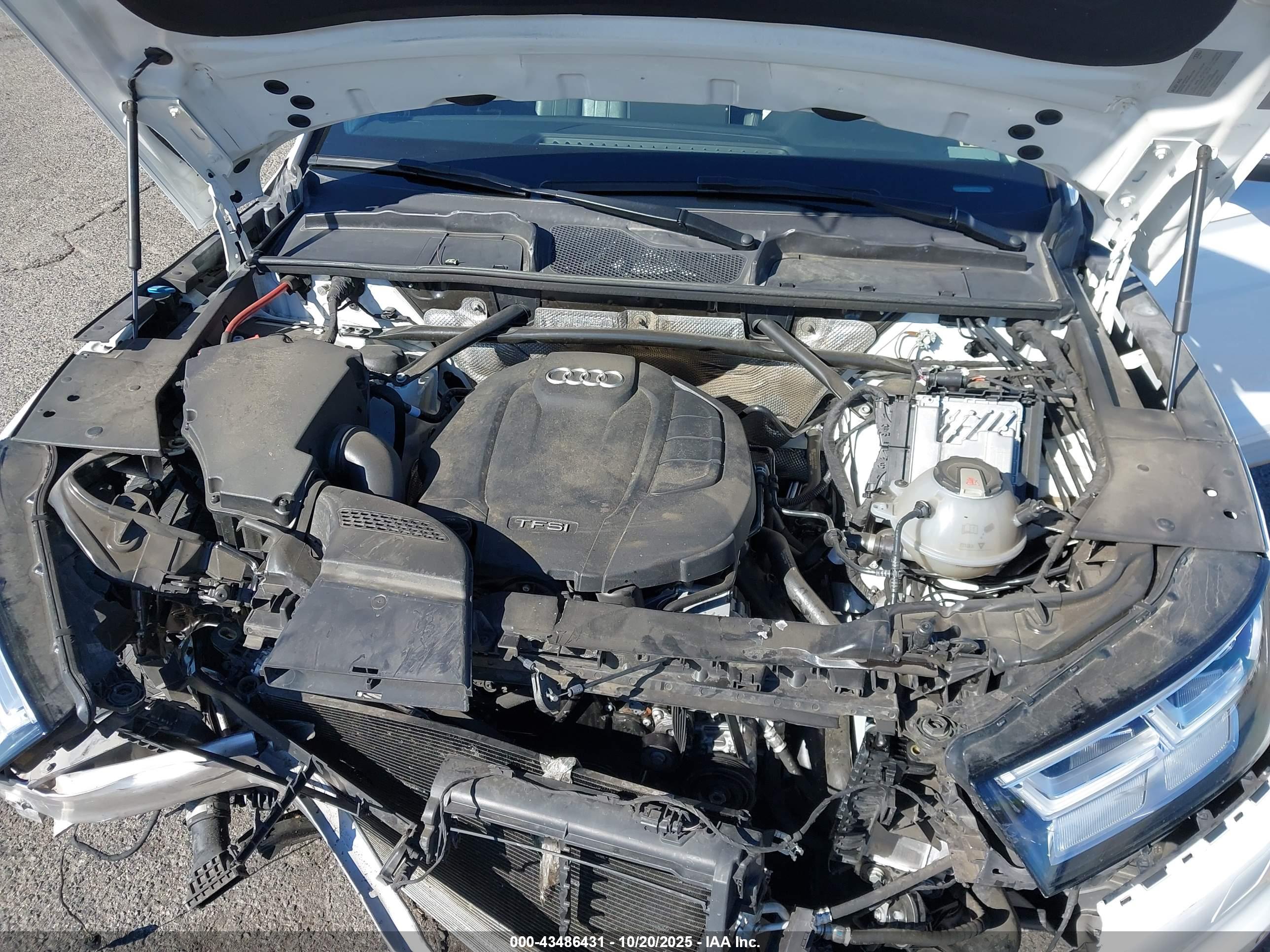 AUDI Q5 image 10