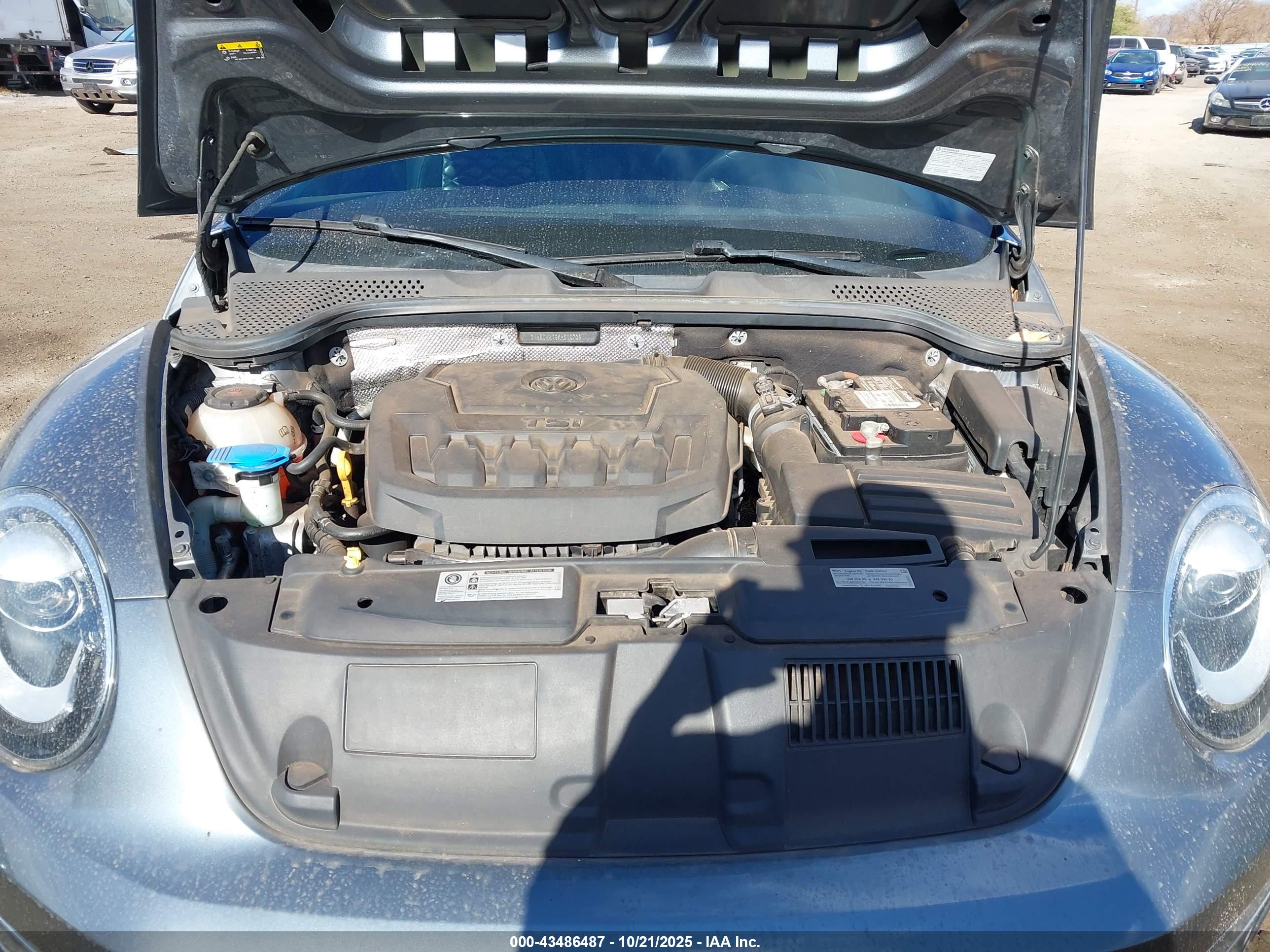 VOLKSWAGEN BEETLE image 10