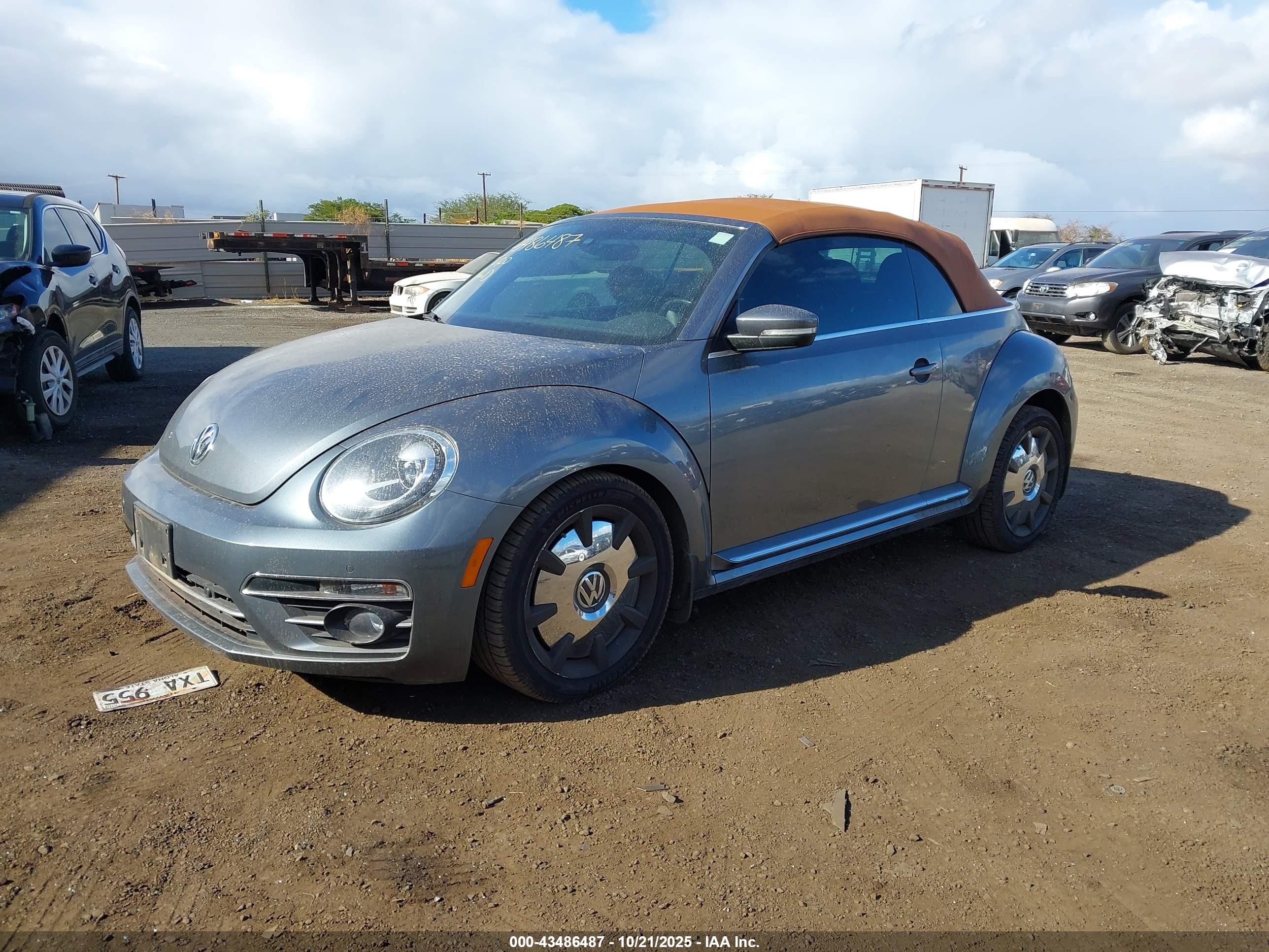 VOLKSWAGEN BEETLE image 2