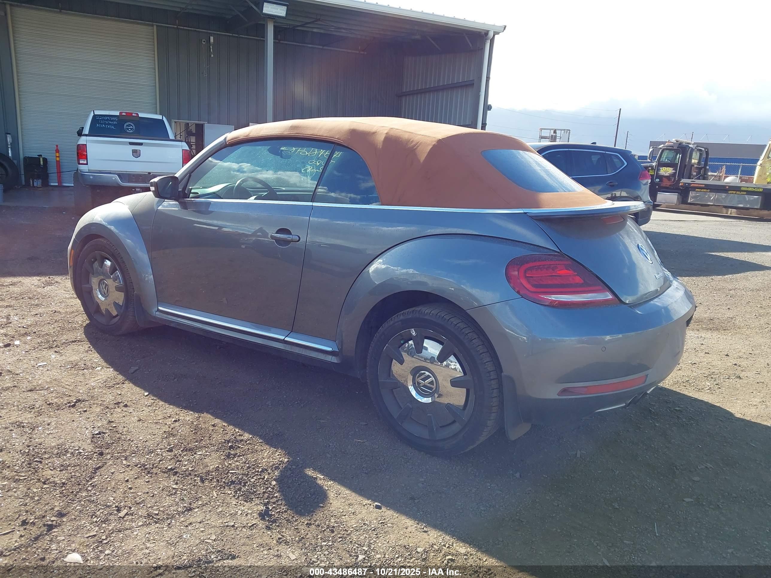 VOLKSWAGEN BEETLE image 3