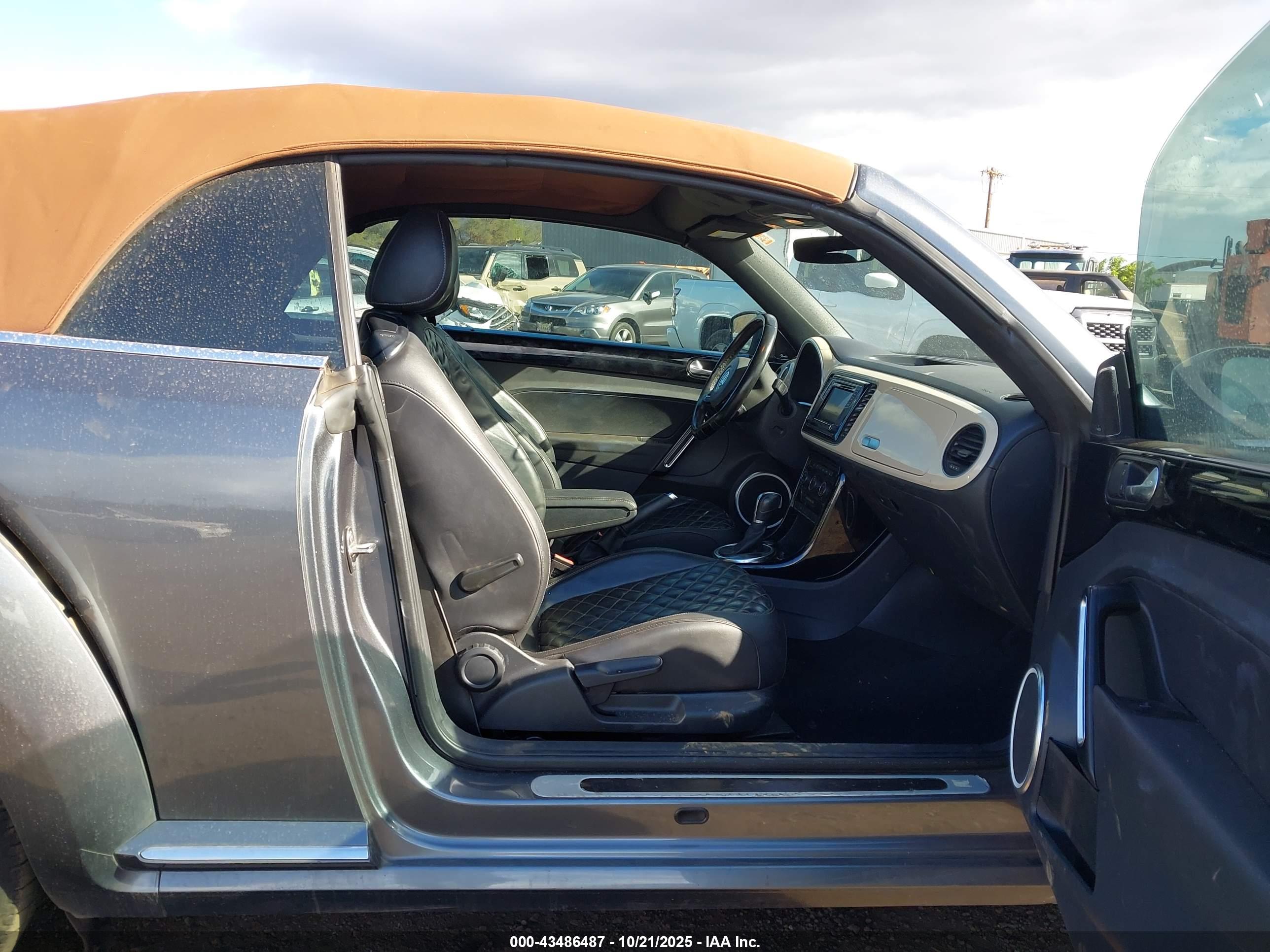 VOLKSWAGEN BEETLE image 5